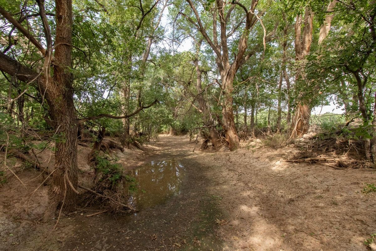 21401 Hope Road, Canyon, TX 79015, photo 156