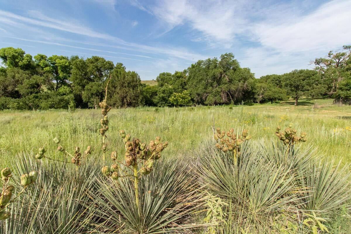 21401 Hope Road, Canyon, TX 79015, photo 125