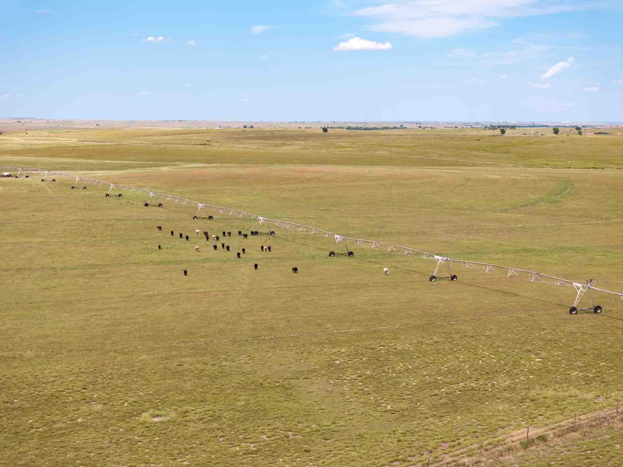 Bourquin Cattle 495 Ac, Follett, TX 79034, photo 17