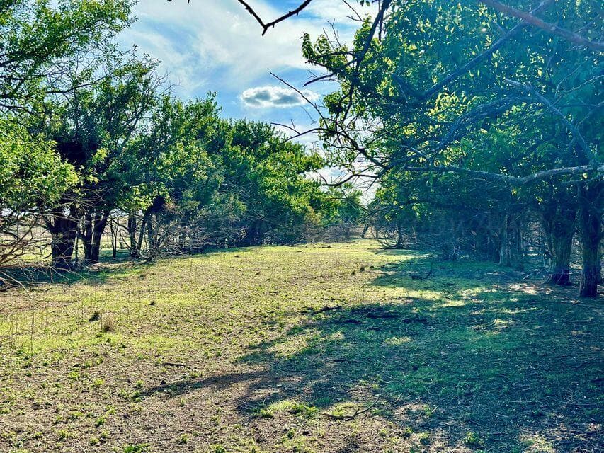 15200 TX-152, Mobeetie, TX 79061, photo 49