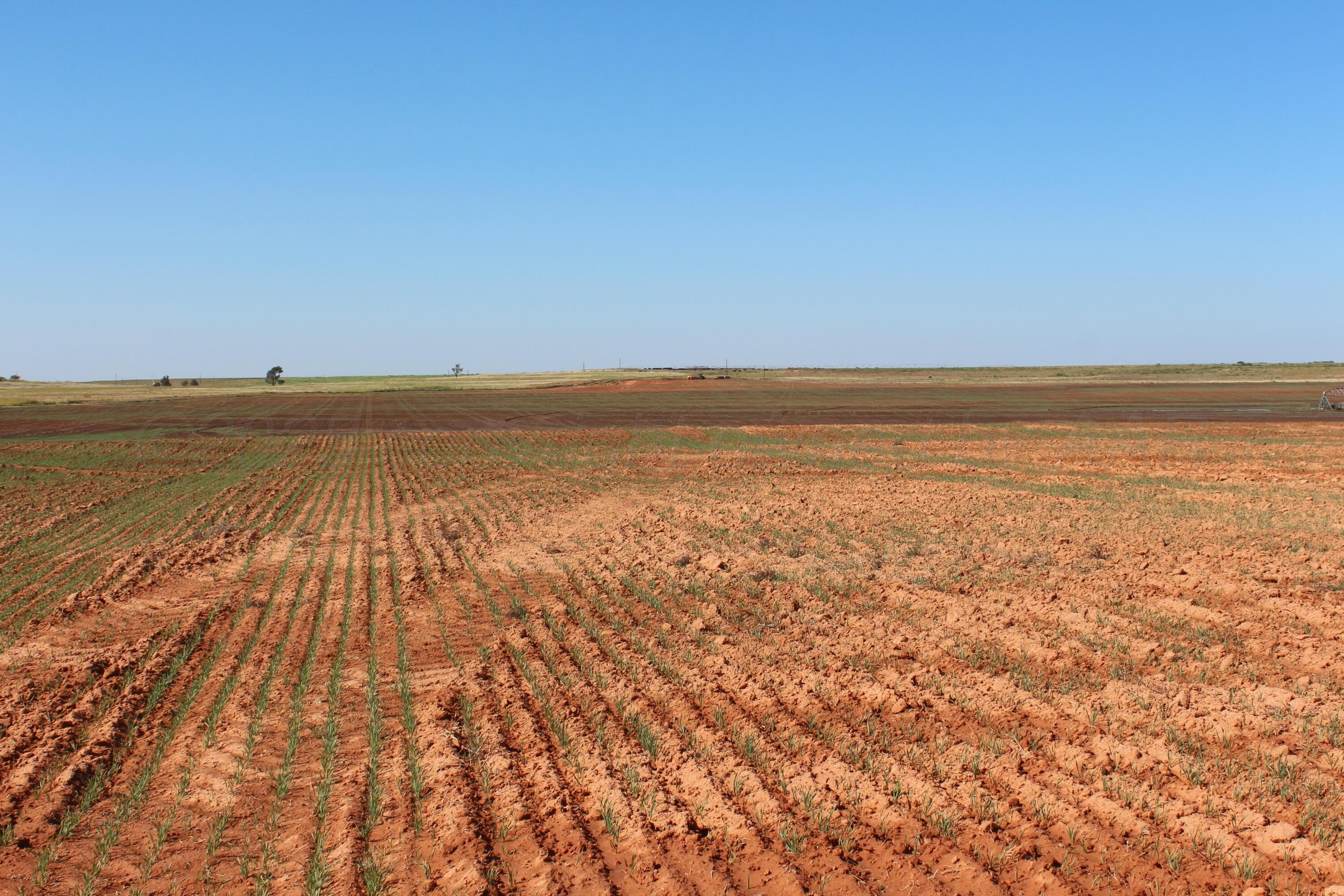 325 acres Childress, Amarillo, TX 79201, photo 12