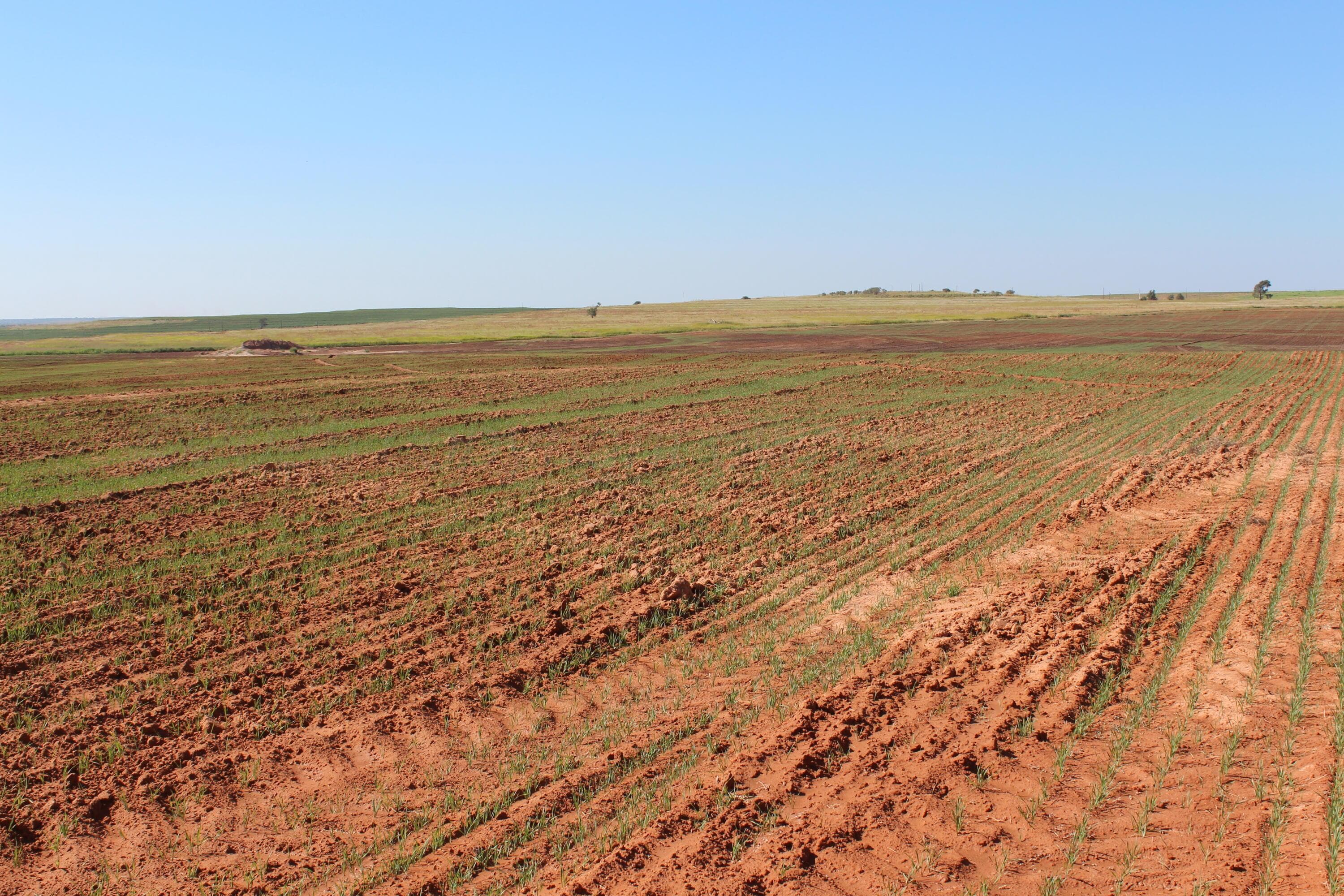 325 acres Childress, Amarillo, TX 79201, photo 13