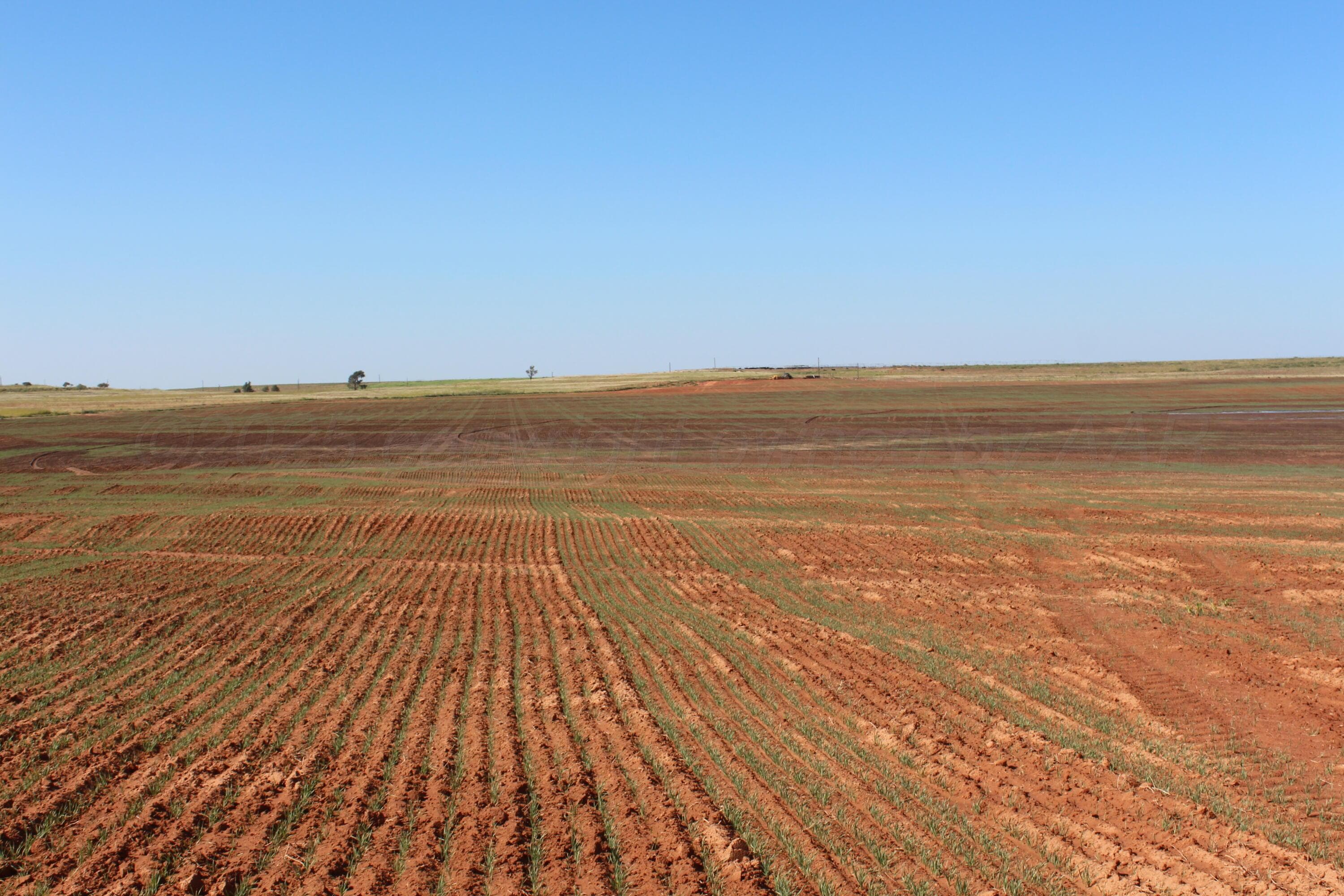 325 acres Childress, Amarillo, TX 79201, photo 15
