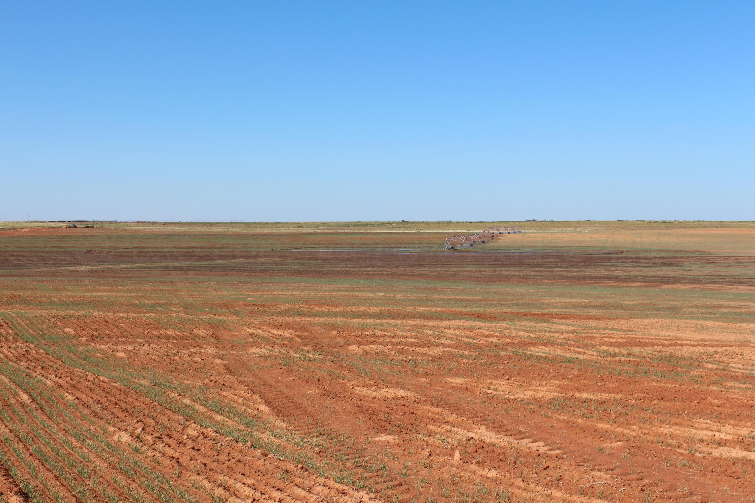 325 acres Childress, Amarillo, TX 79201, photo 16
