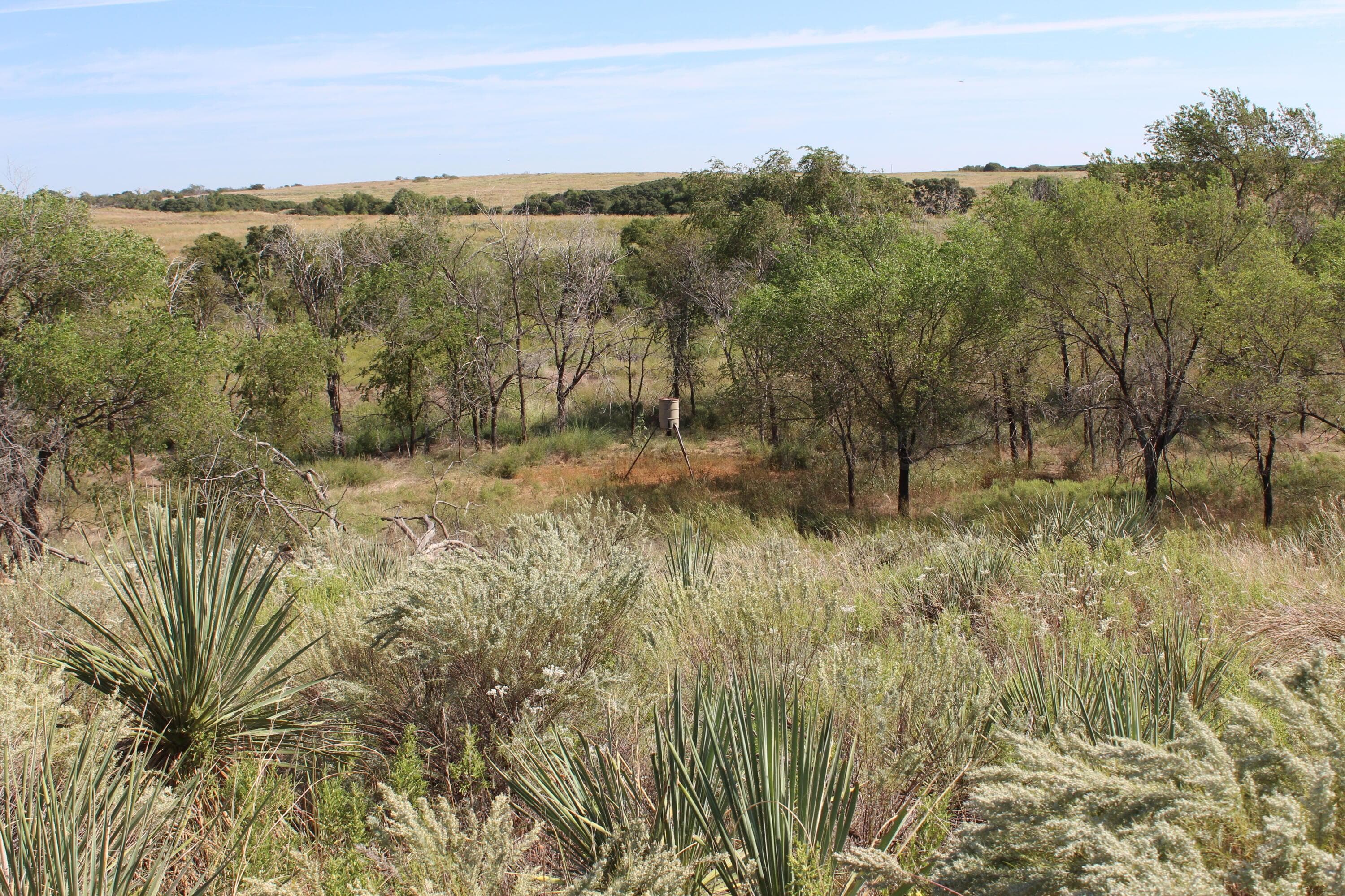 325 acres Childress, Amarillo, TX 79201, photo 22