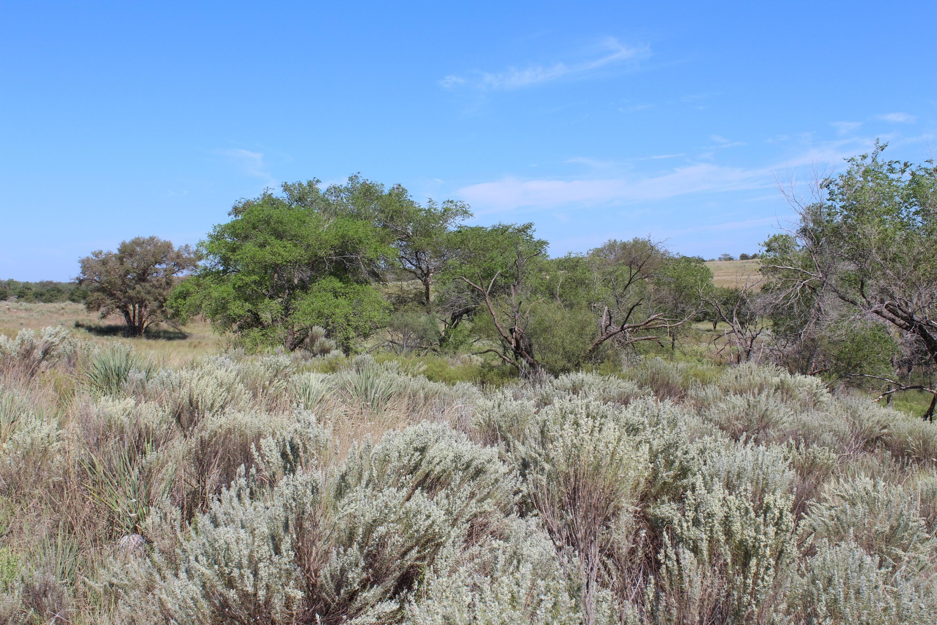 325 acres Childress, Amarillo, TX 79201, photo 24