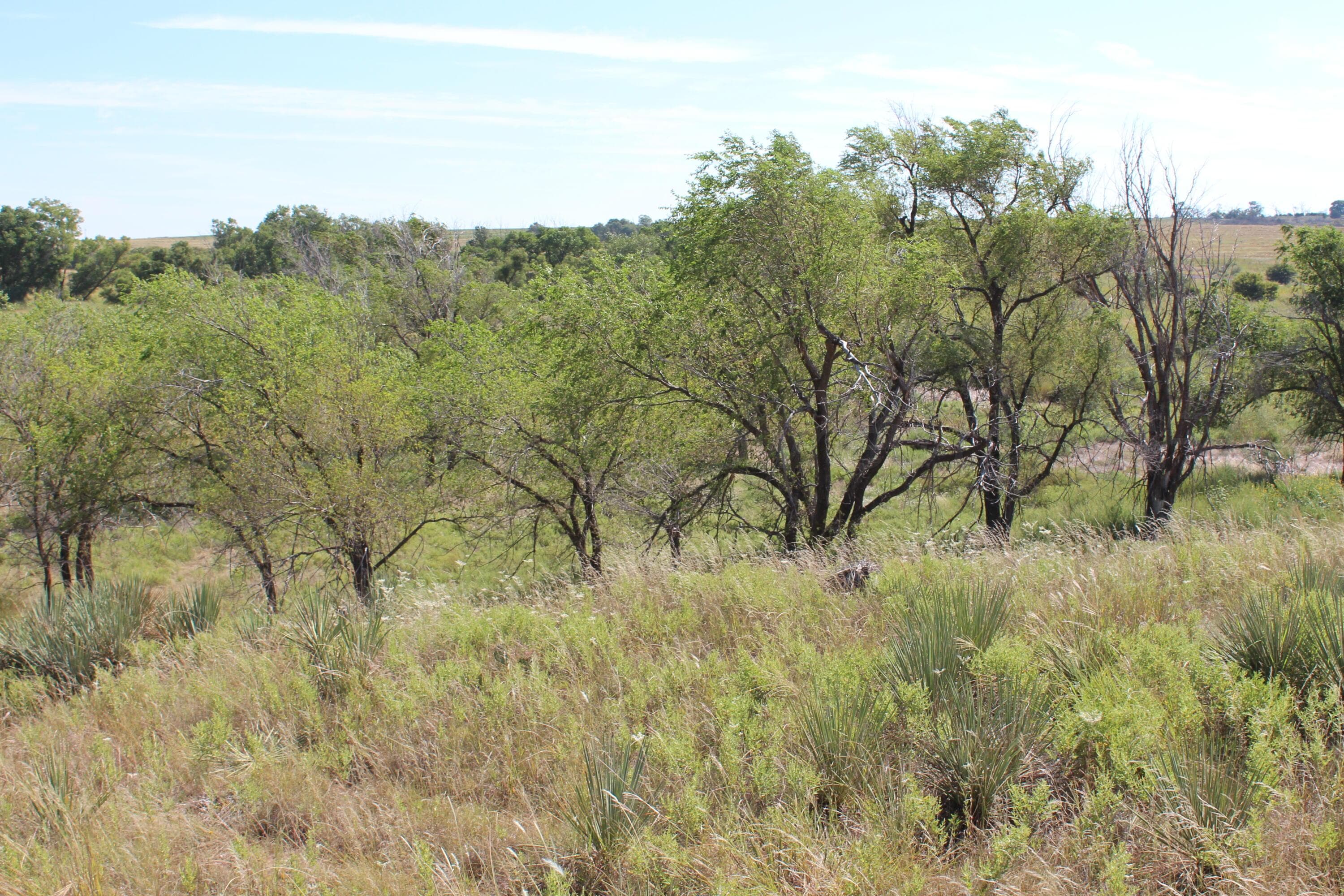 325 acres Childress, Amarillo, TX 79201, photo 29