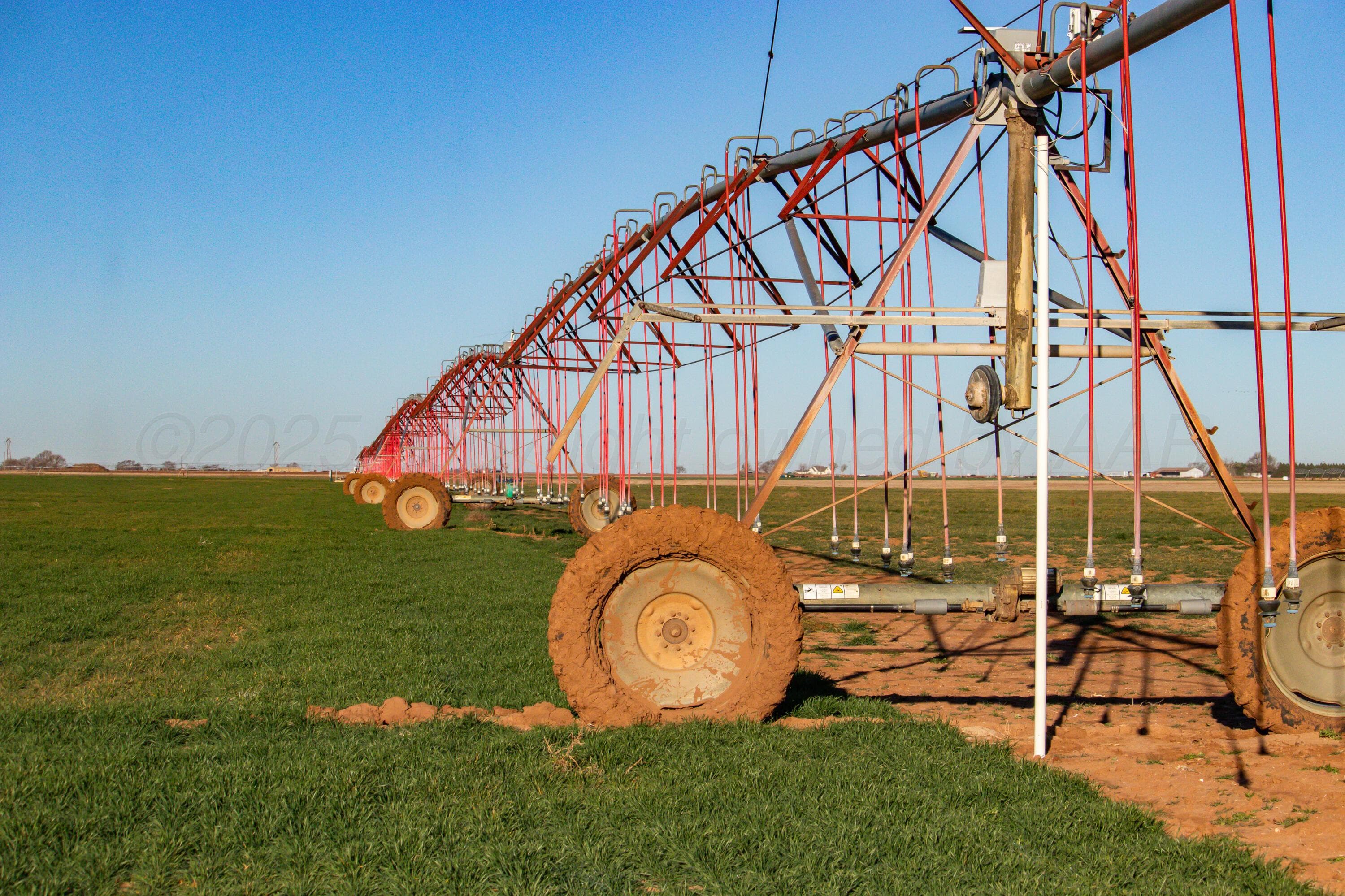 Te Velde Irrigated Farm, Dimmitt, TX 79027, photo 3
