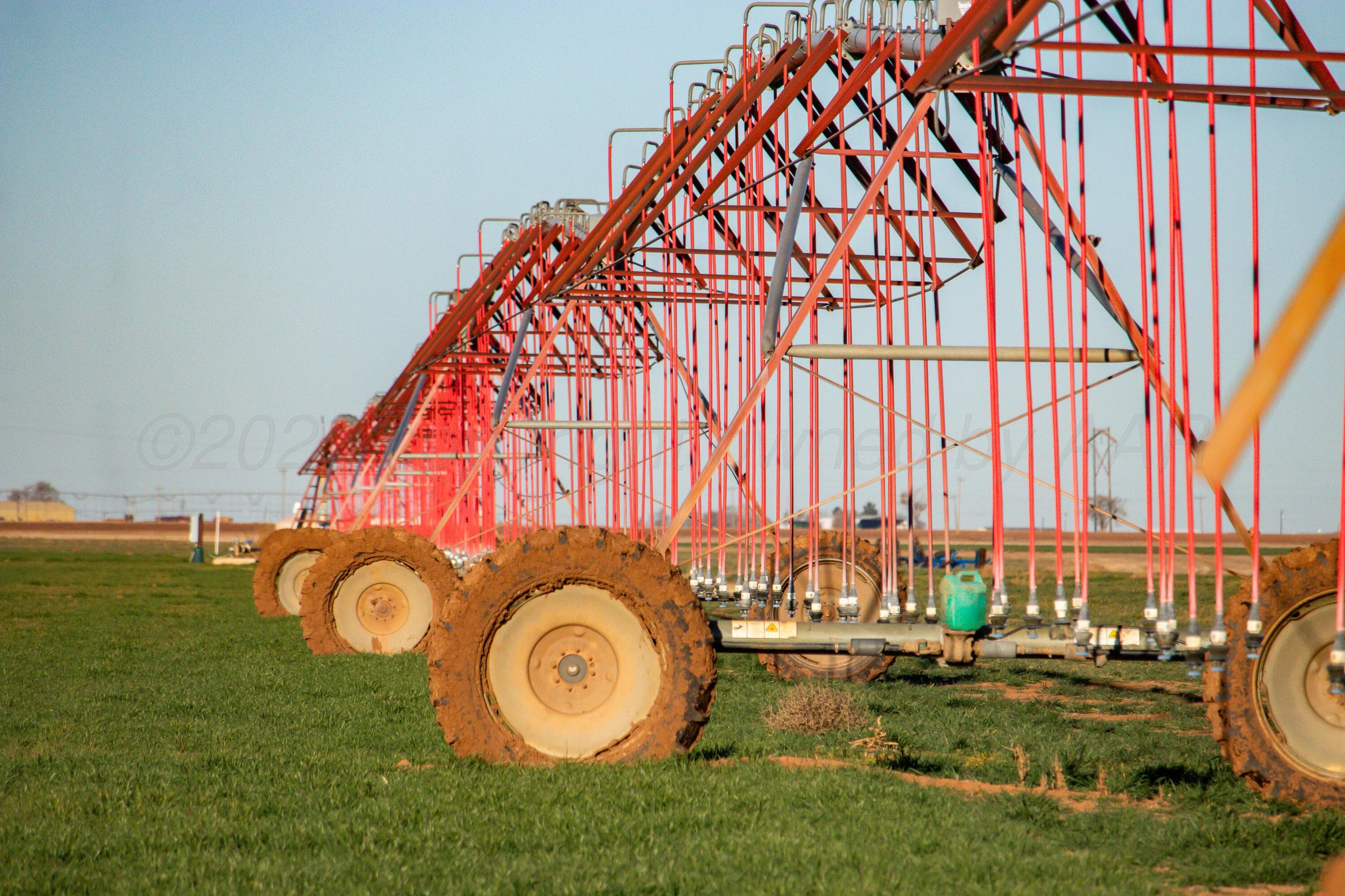Te Velde Irrigated Farm, Dimmitt, TX 79027, photo 4