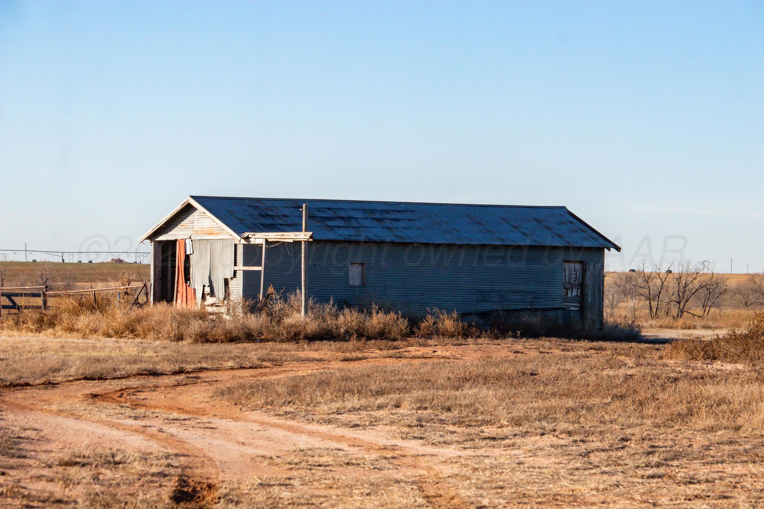 Te Velde Irrigated Farm, Dimmitt, TX 79027, photo 6