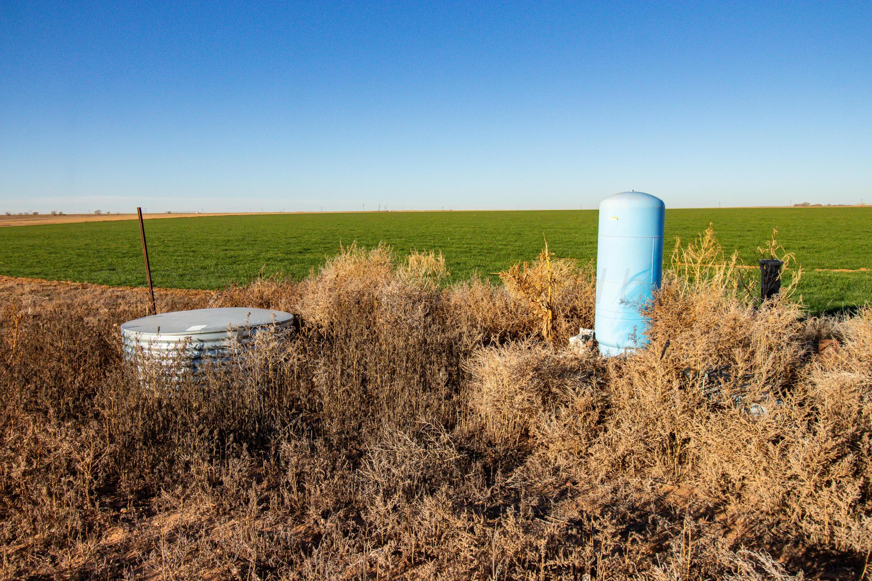 Te Velde Irrigated Farm, Dimmitt, TX 79027, photo 8