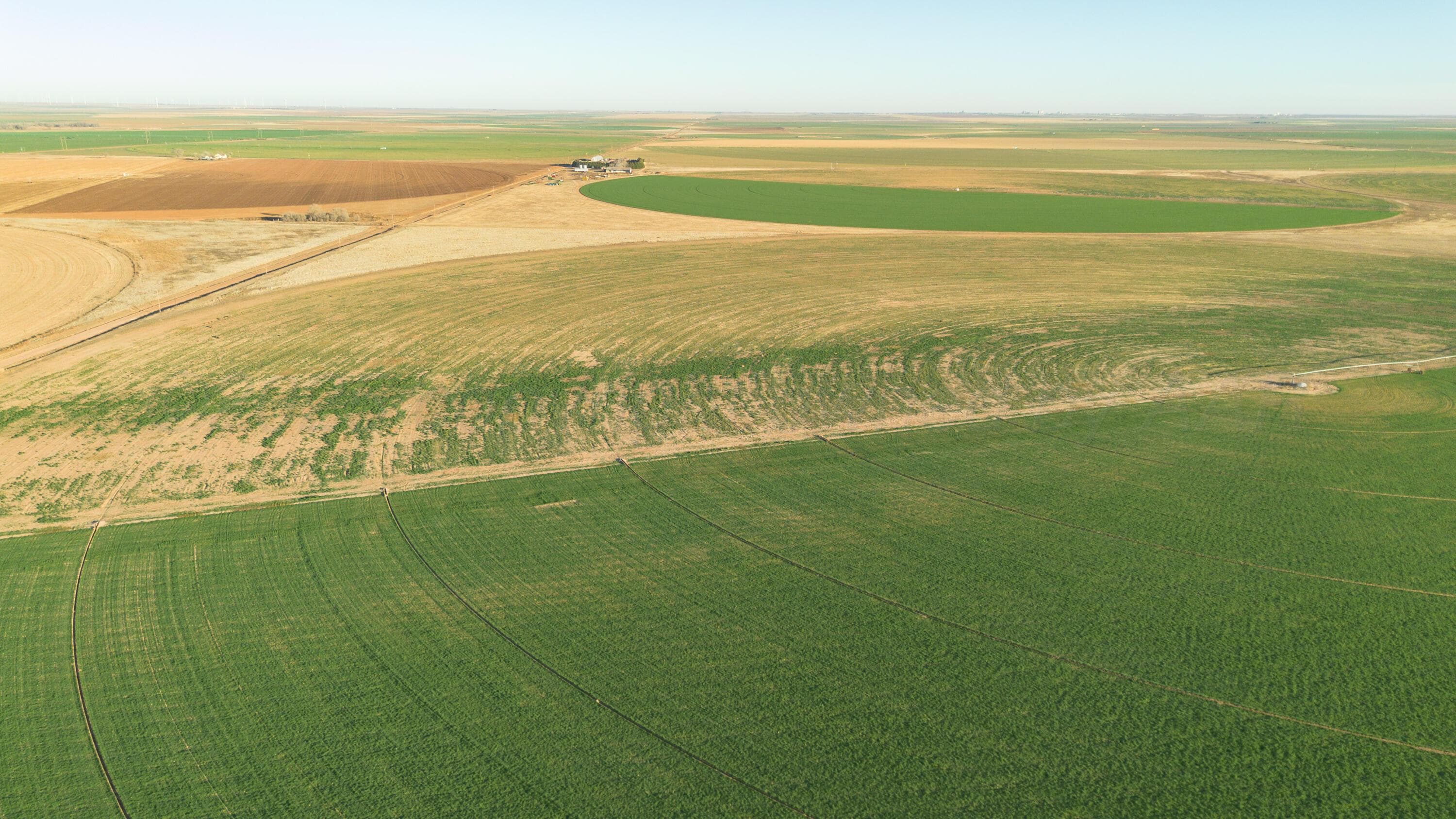 Te Velde Irrigated Farm, Dimmitt, TX 79027, photo 12