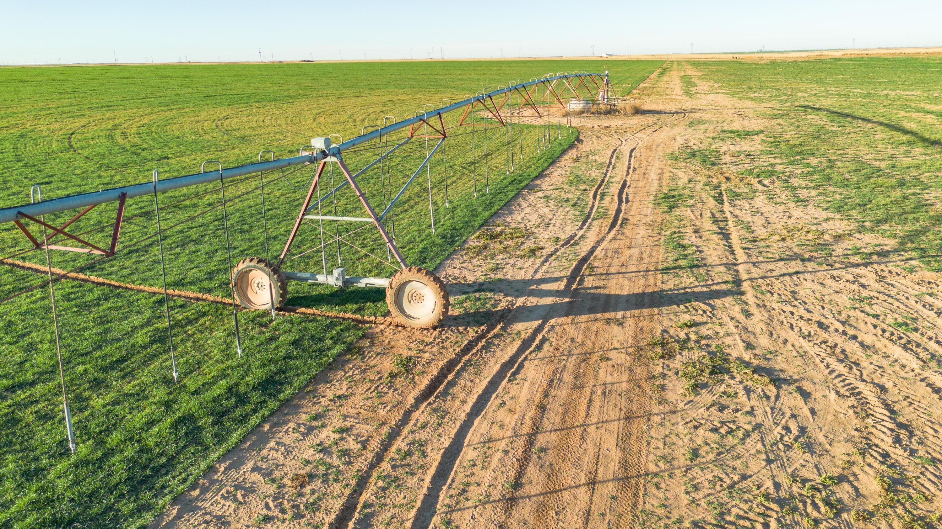 Te Velde Irrigated Farm, Dimmitt, TX 79027, photo 18