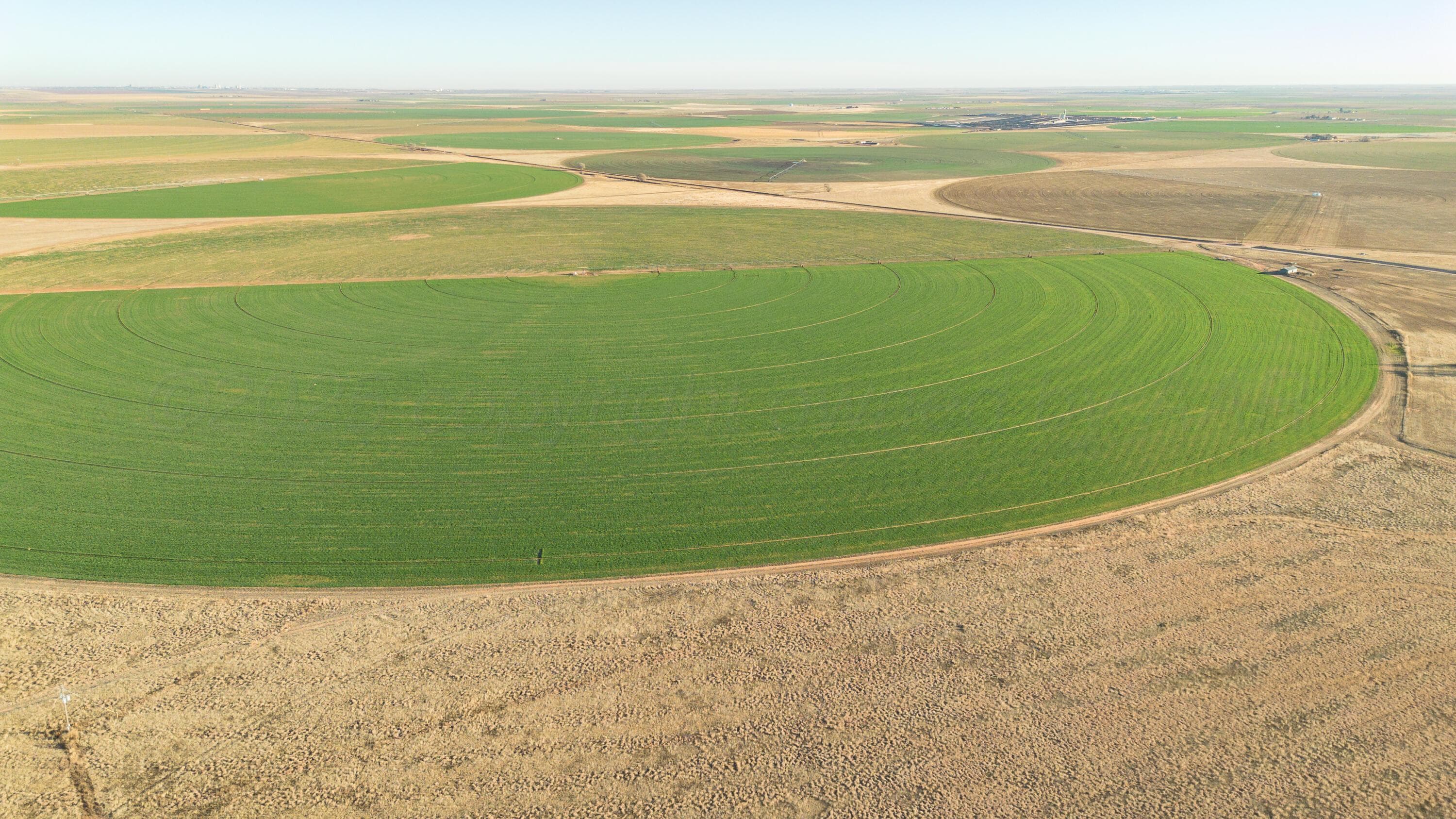 Te Velde Irrigated Farm, Dimmitt, TX 79027, photo 24