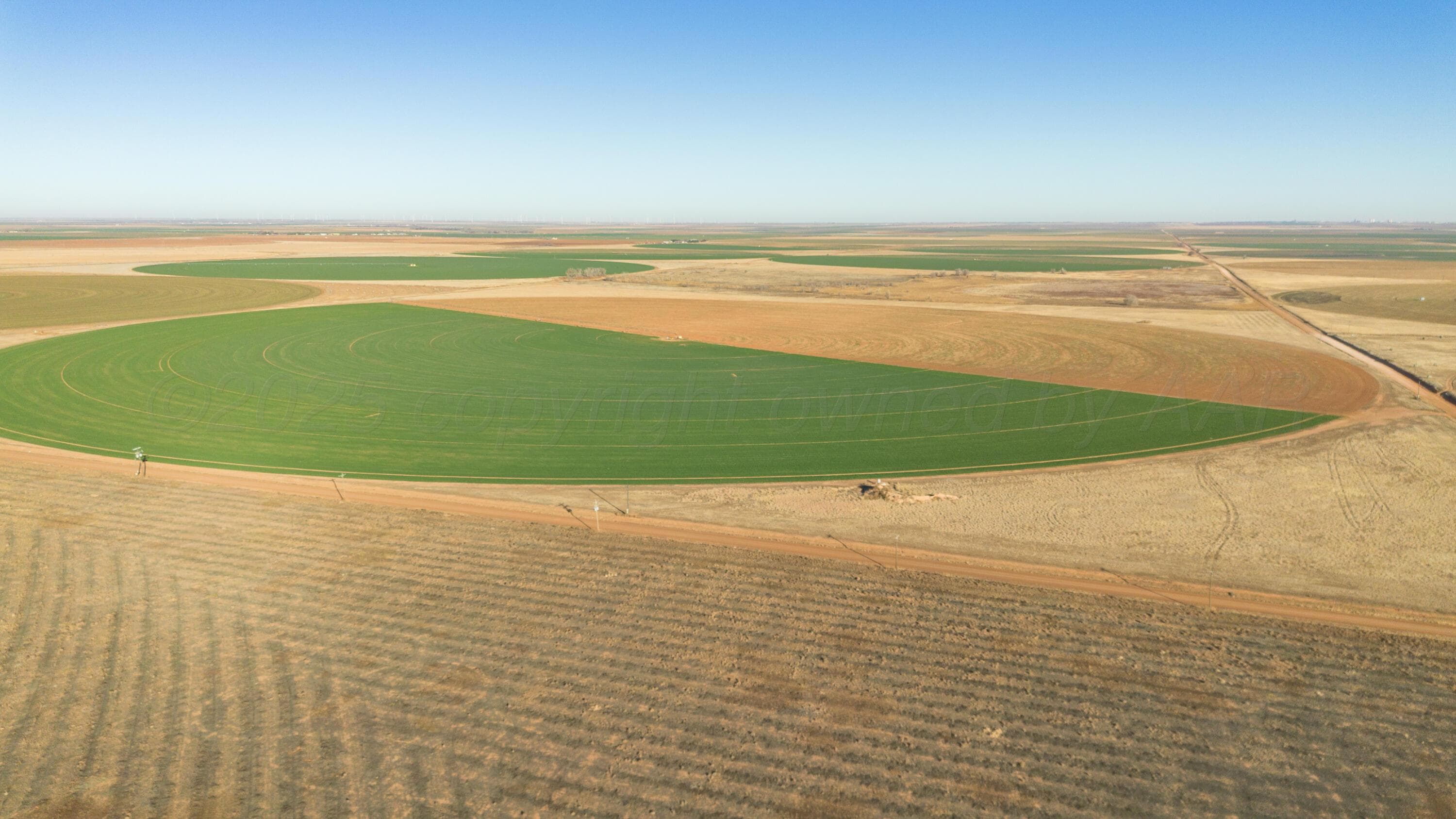 Te Velde Irrigated Farm, Dimmitt, TX 79027, photo 30