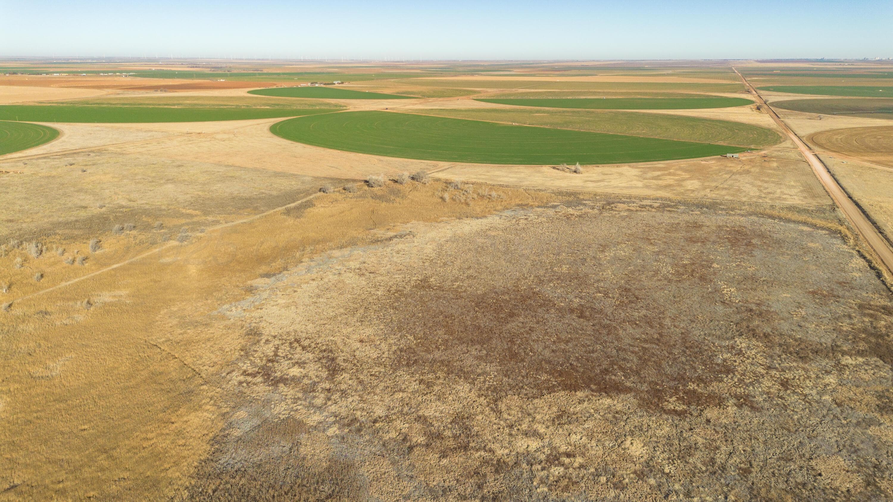 Te Velde Irrigated Farm, Dimmitt, TX 79027, photo 38