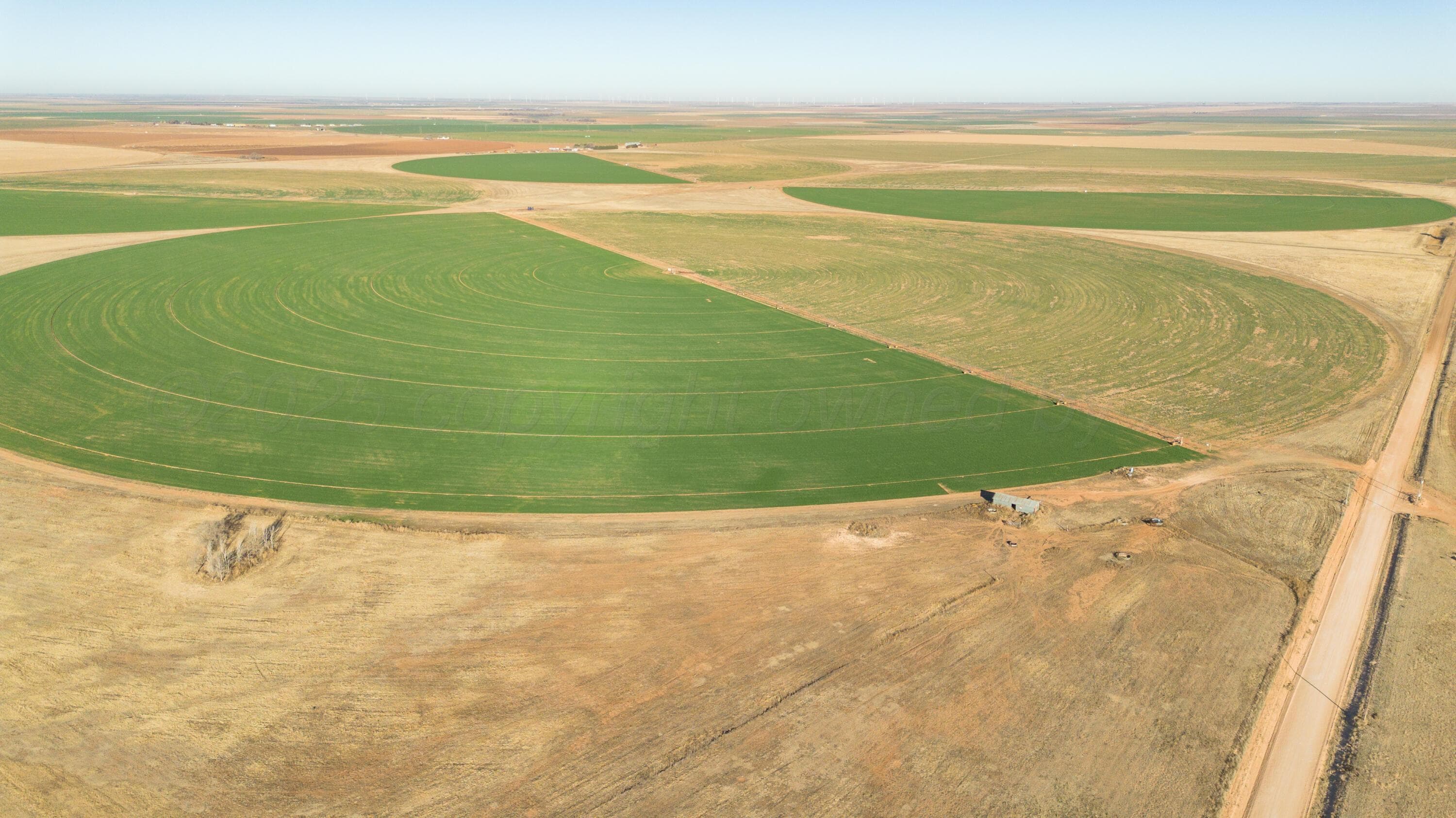 Te Velde Irrigated Farm, Dimmitt, TX 79027, photo 39