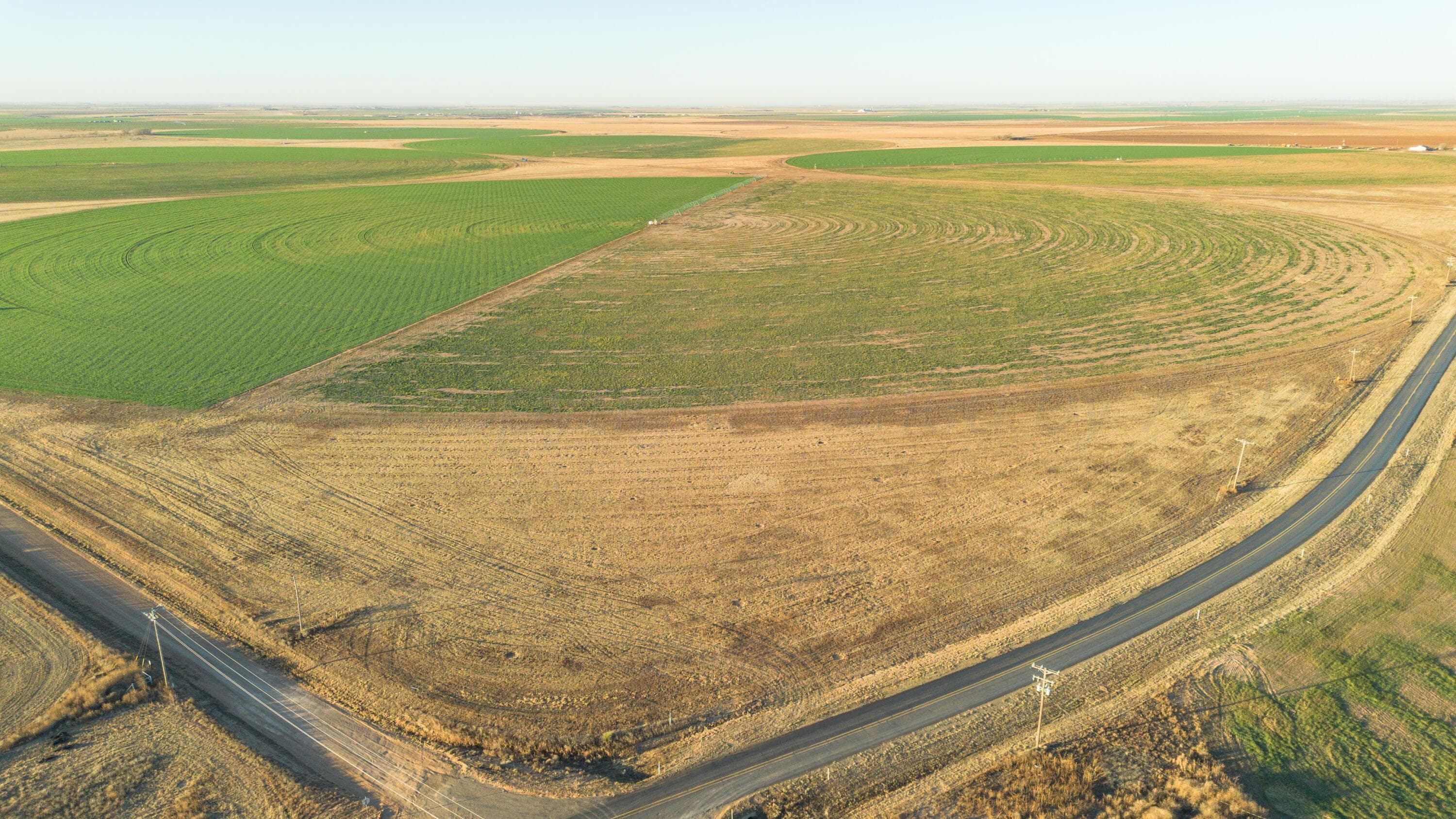 Te Velde Irrigated Farm, Dimmitt, TX 79027, photo 54