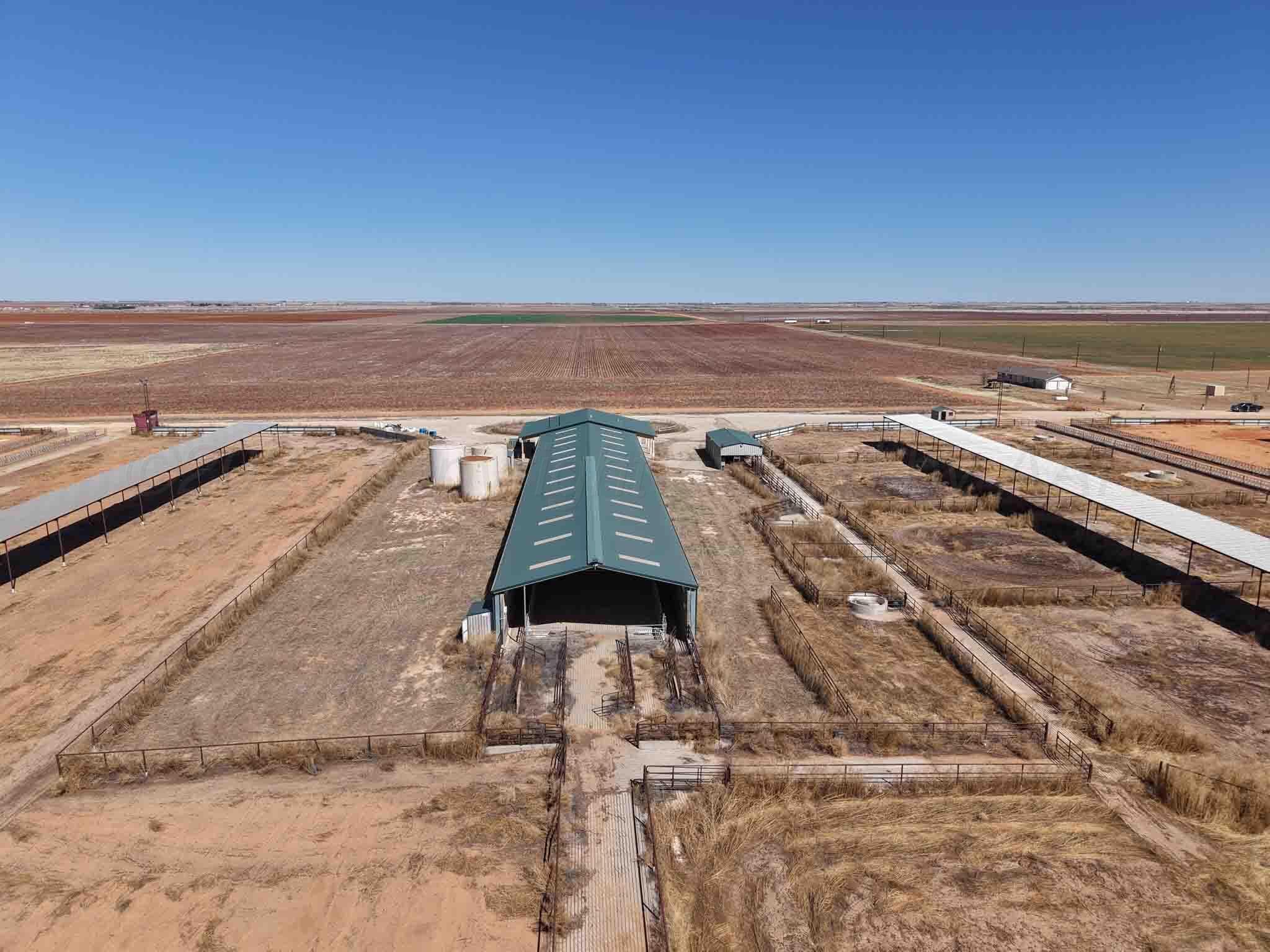 Cal Star Dairy, Brownfield, TX 79316, photo 4