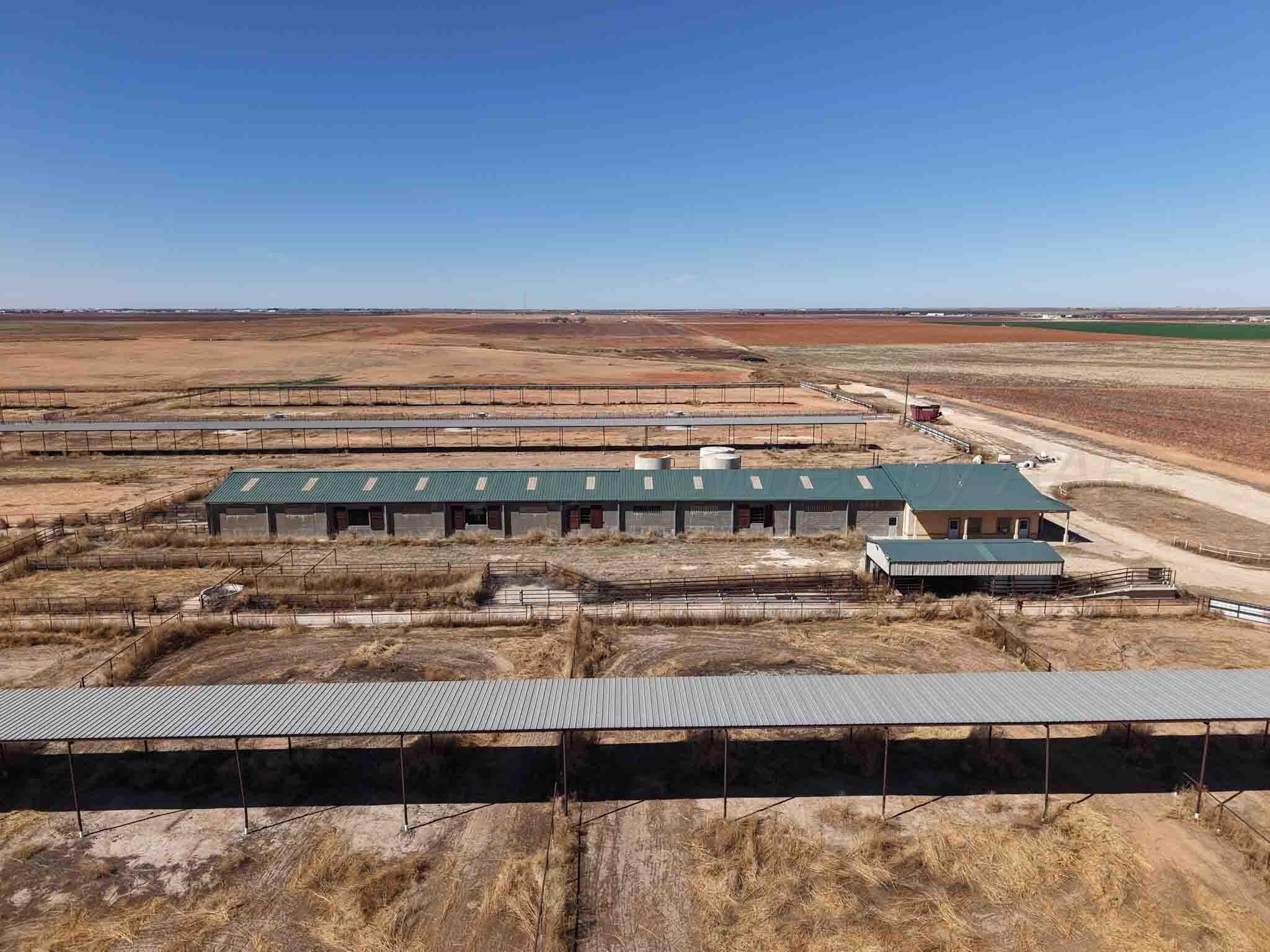 Cal Star Dairy, Brownfield, TX 79316, photo 5