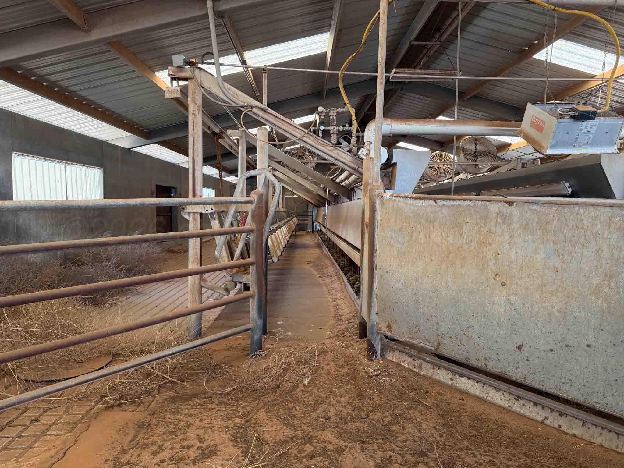 Cal Star Dairy, Brownfield, TX 79316, photo 8