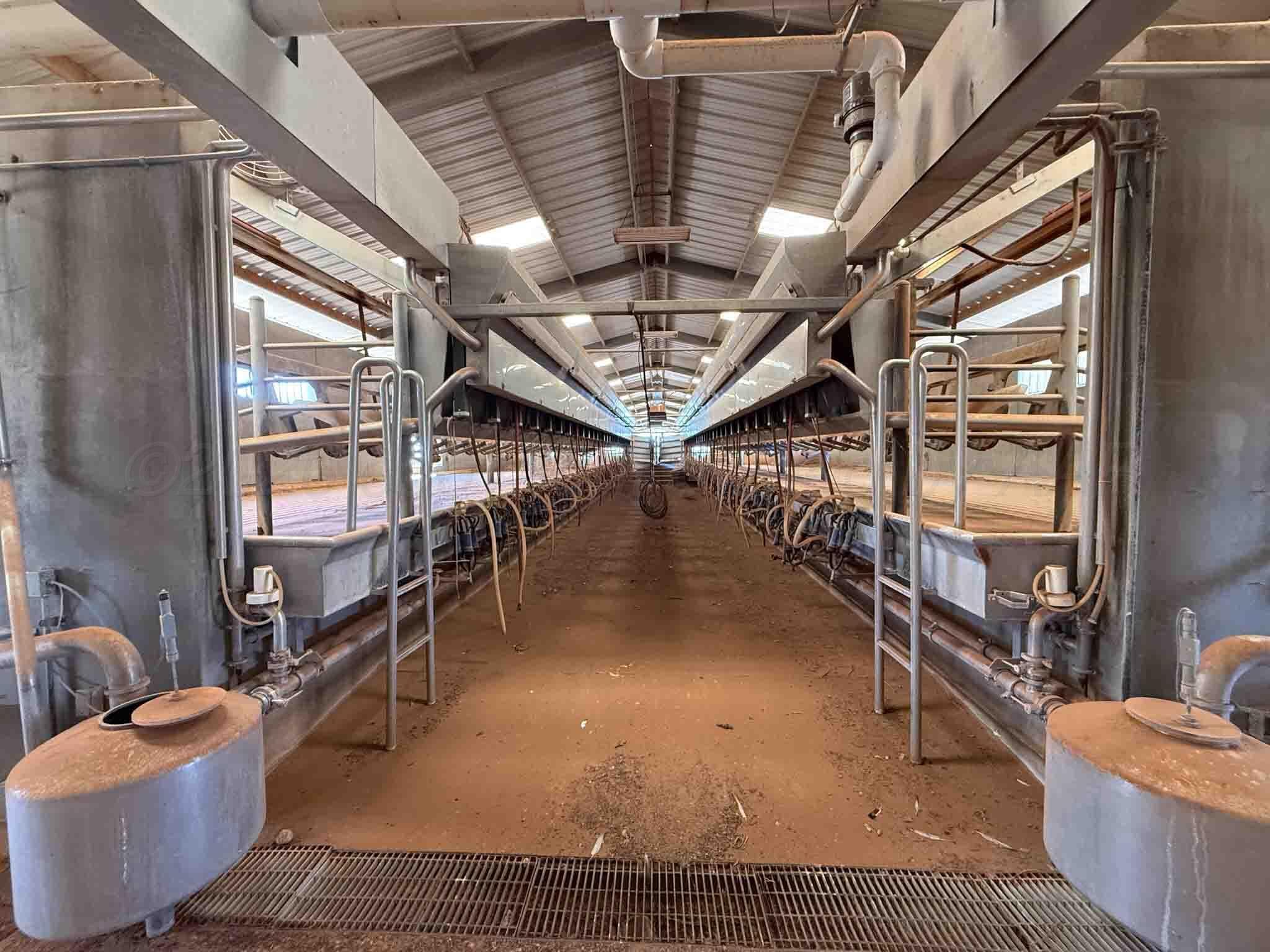Cal Star Dairy, Brownfield, TX 79316, photo 9