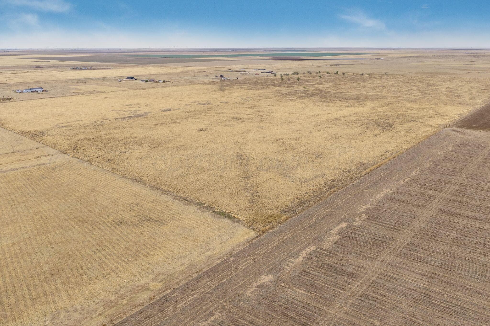 +/-180 ACRES County Road 6, Claude, TX 79019, photo 7