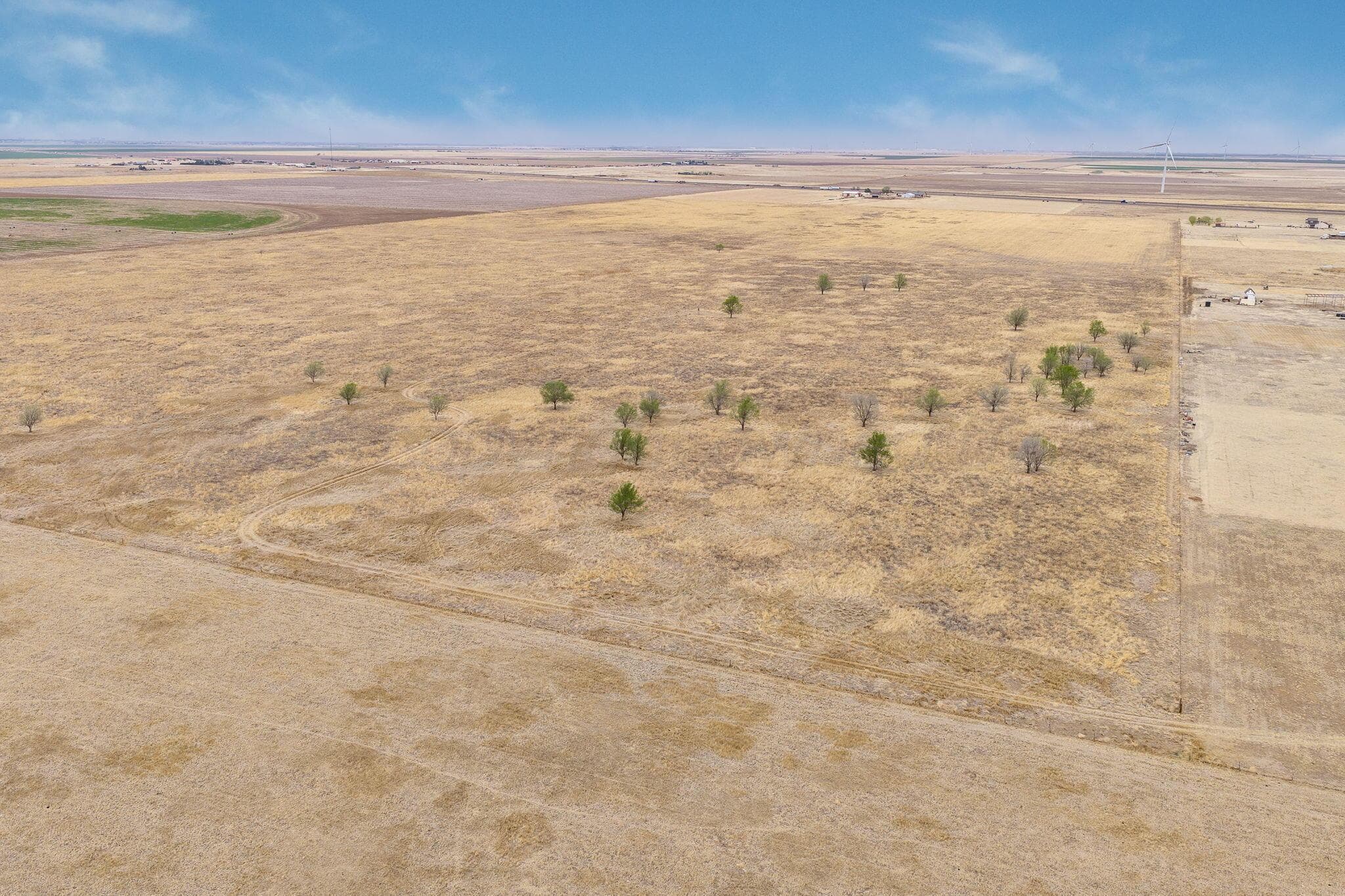+/-180 ACRES County Road 6, Claude, TX 79019, photo 10