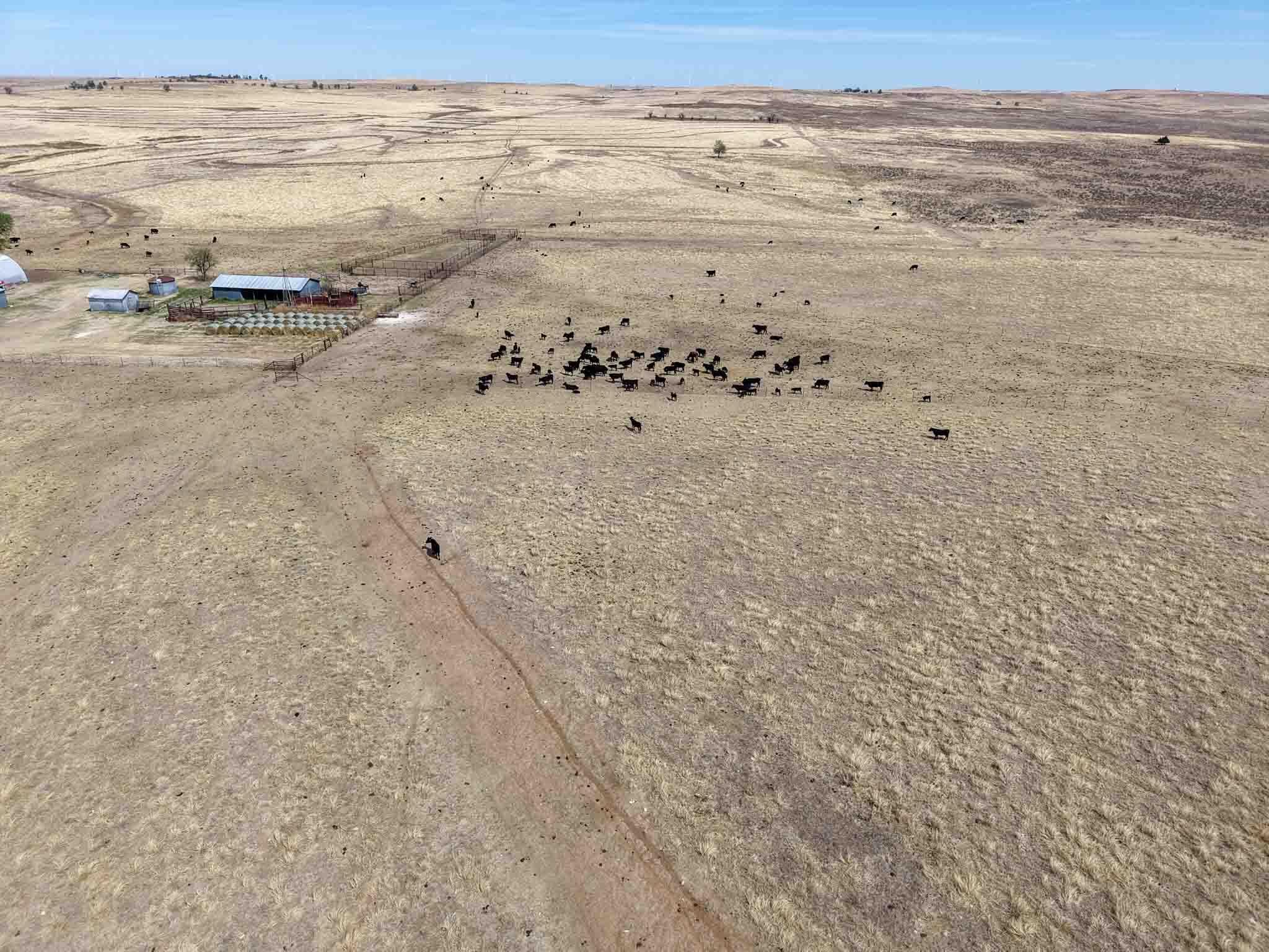 Big Sky Ranch FM 48, Mobeetie, TX 79061, photo 19