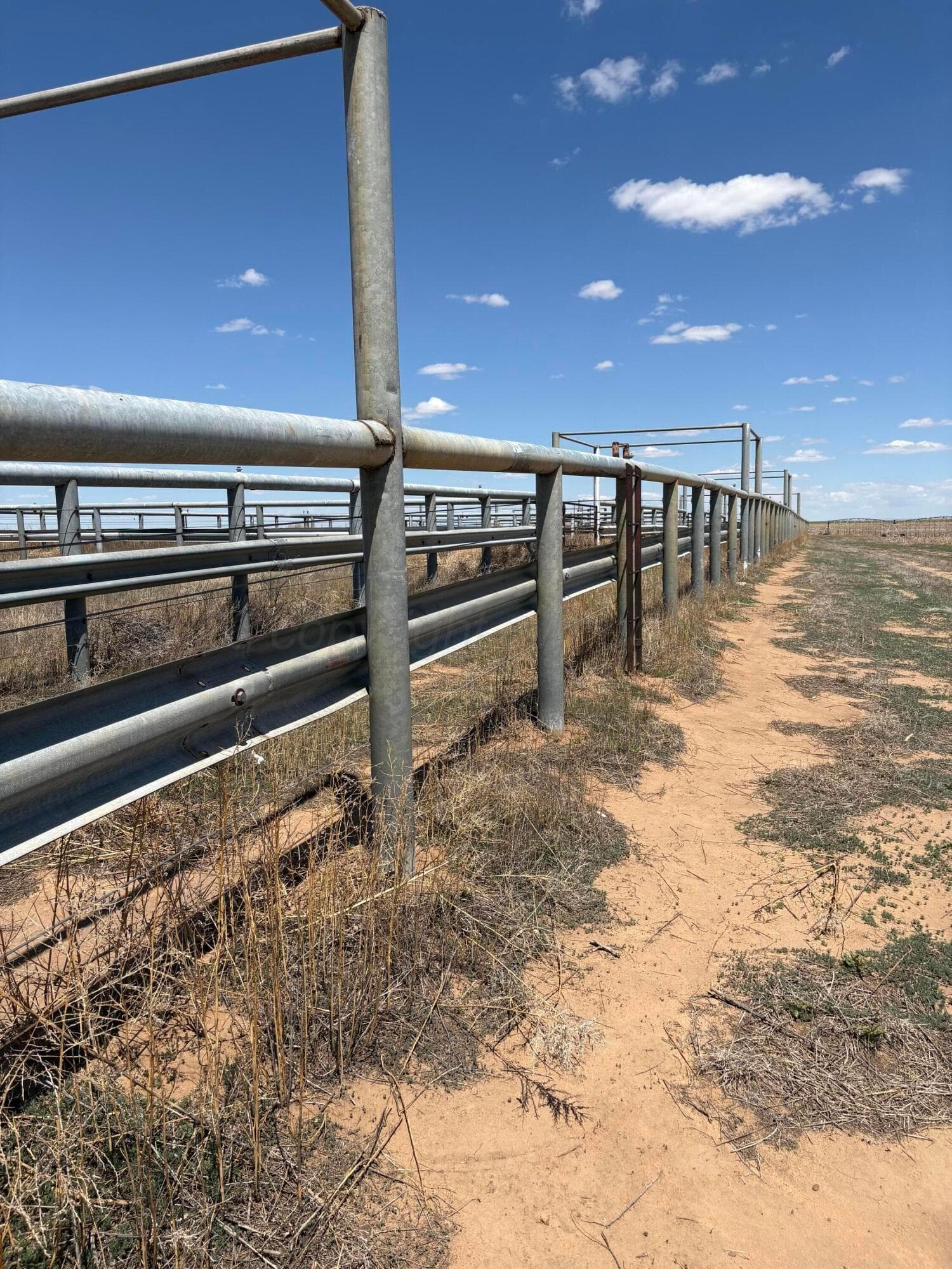 000 000, Dalhart, TX 79022, photo 4