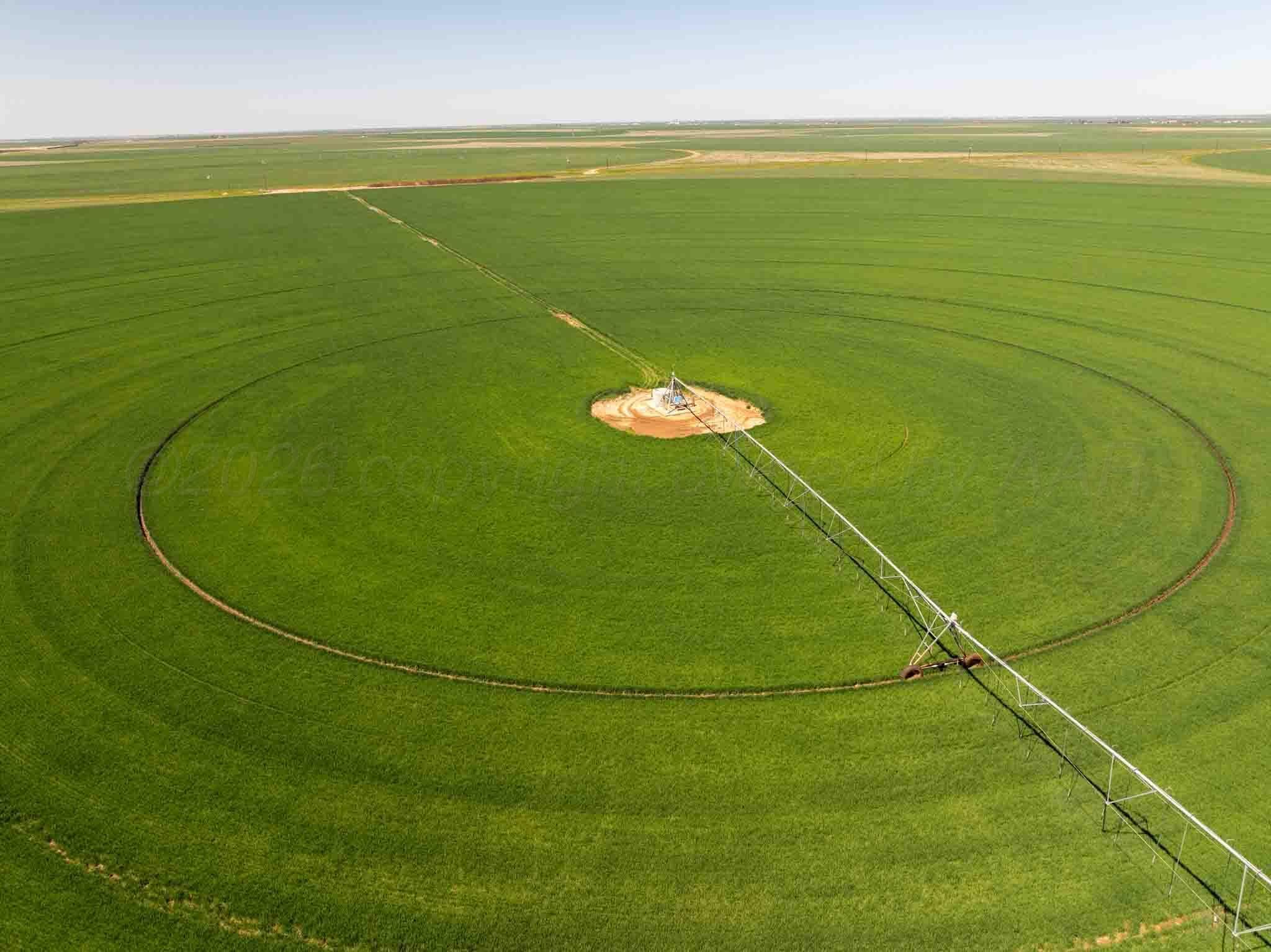 Busby Farm 516.34 Acres CR 625, Hart, TX 79027, photo 9
