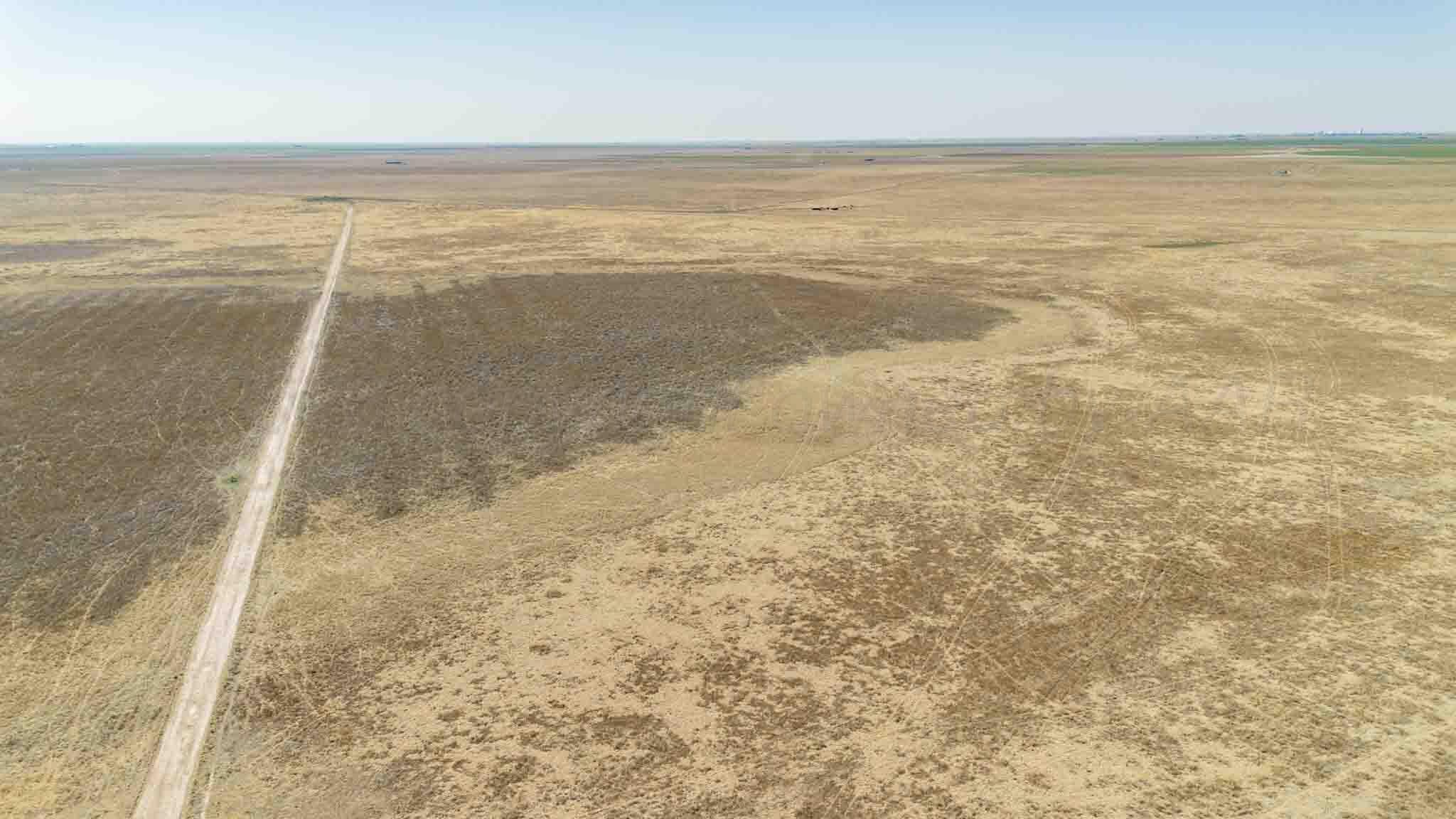 Baskin Ranch ±3,142.65ac, Stratford, TX 79084, photo 10