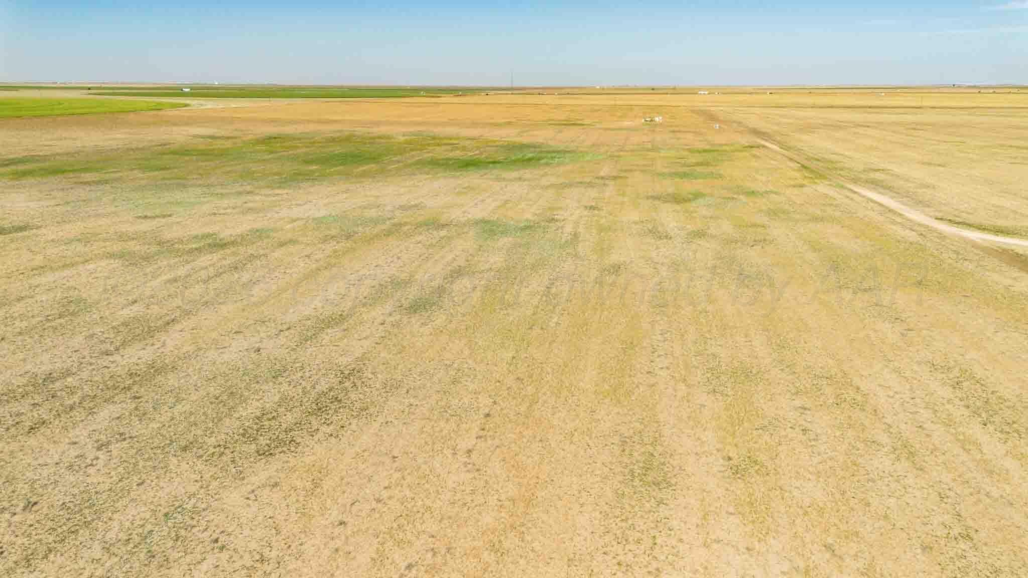 Baskin Ranch ±3,142.65ac, Stratford, TX 79084, photo 13