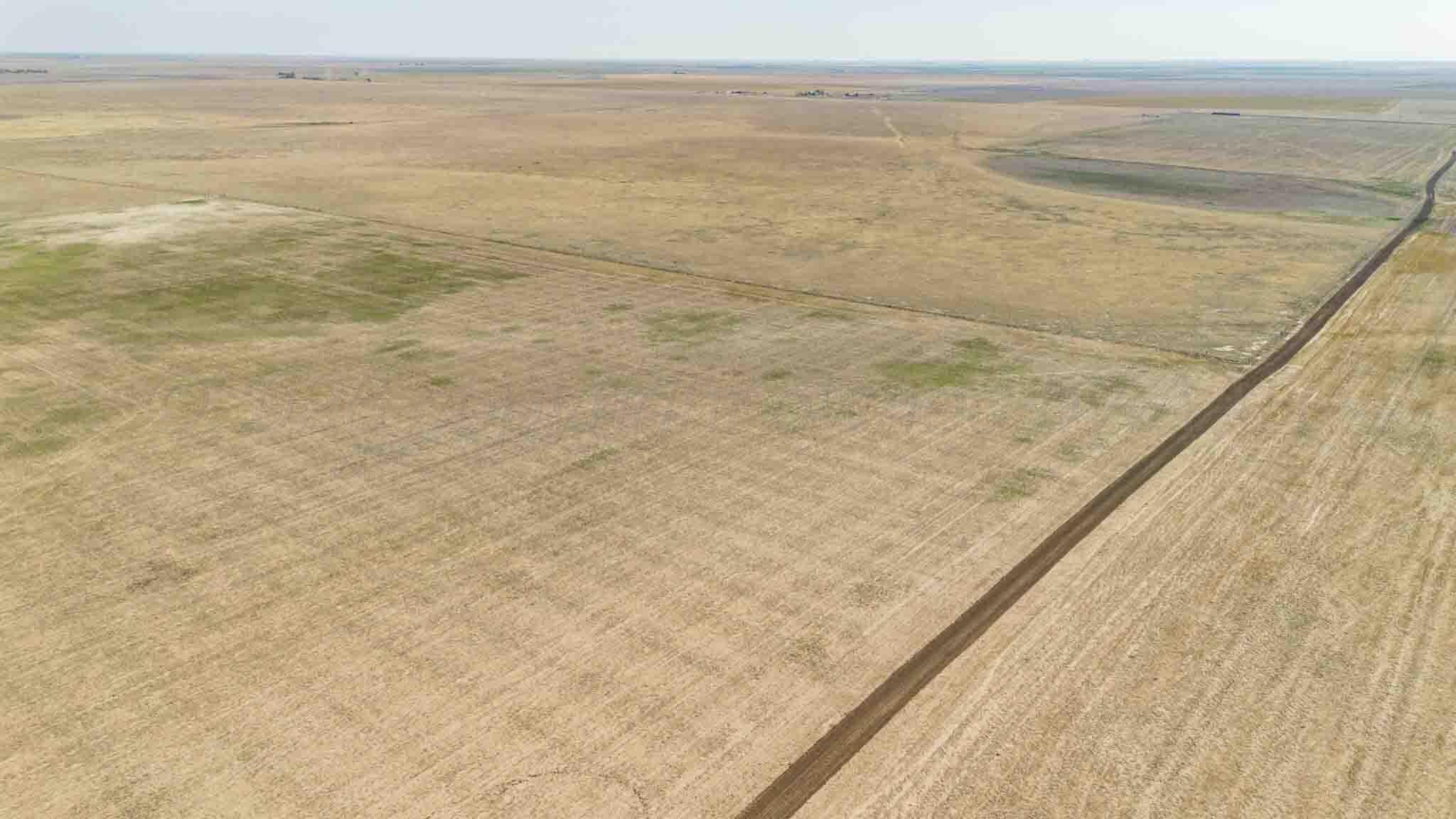 Baskin Ranch ±3,142.65ac, Stratford, TX 79084, photo 16
