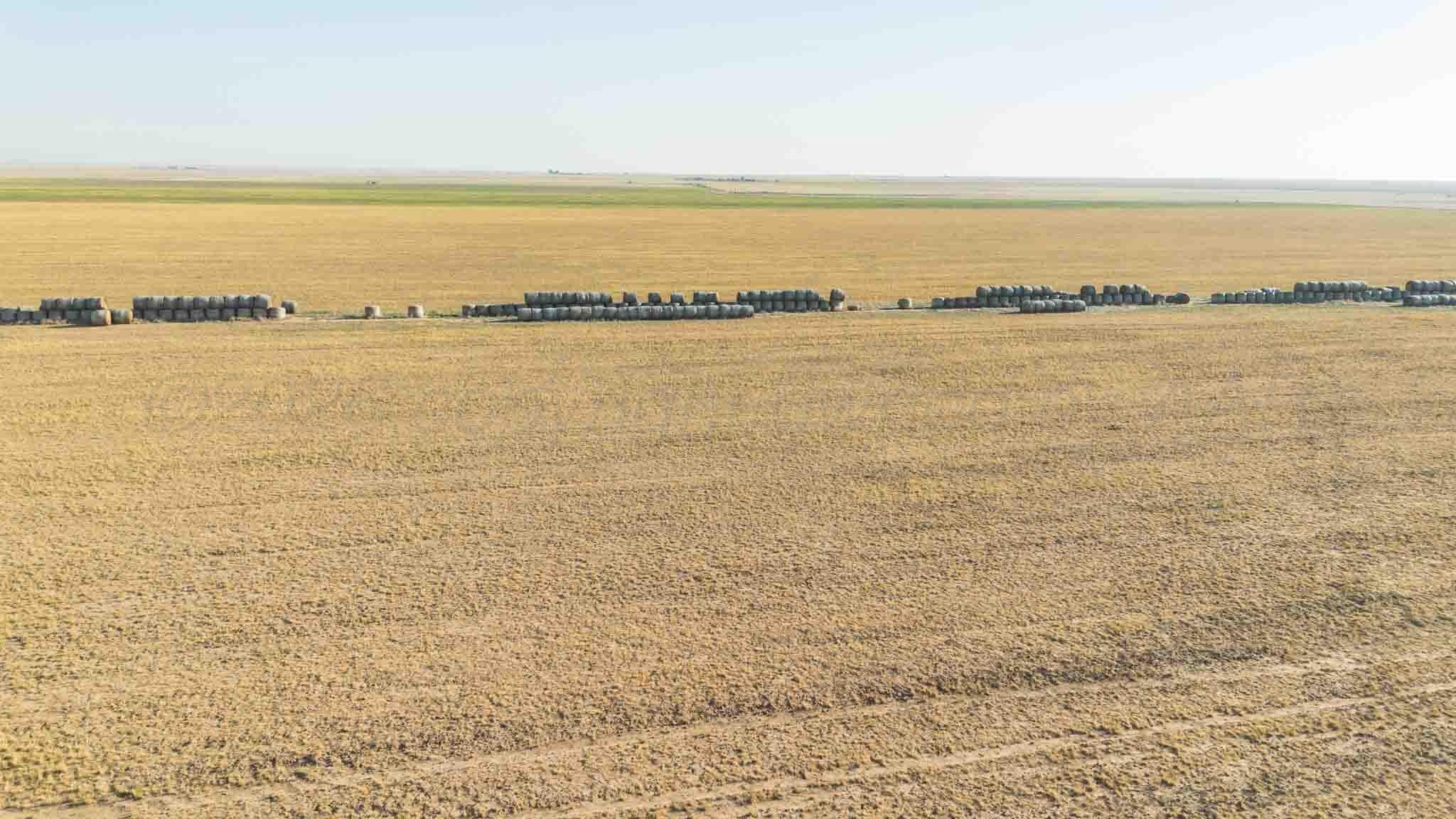 Baskin Ranch ±3,142.65ac, Stratford, TX 79084, photo 26