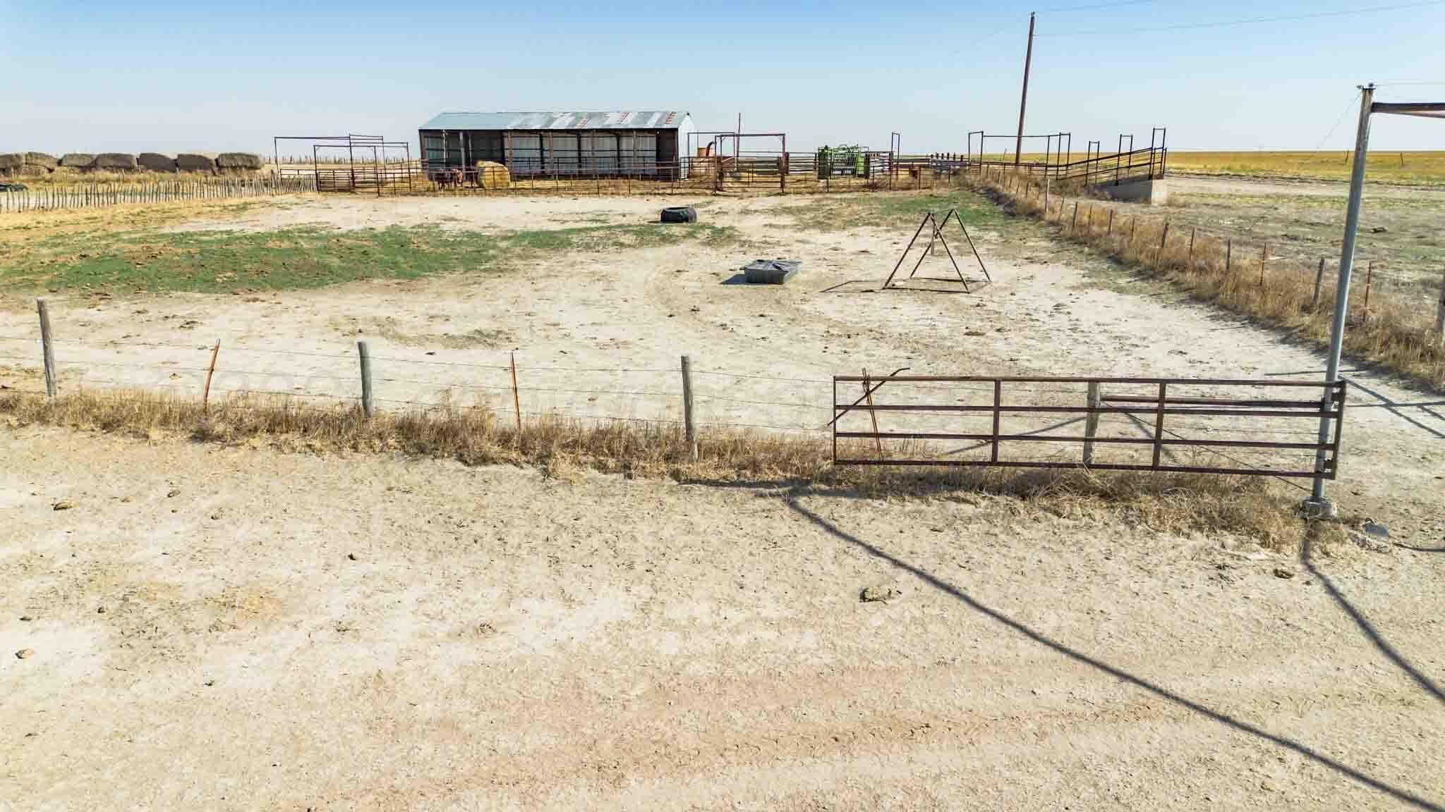 Baskin Ranch ±3,142.65ac, Stratford, TX 79084, photo 40