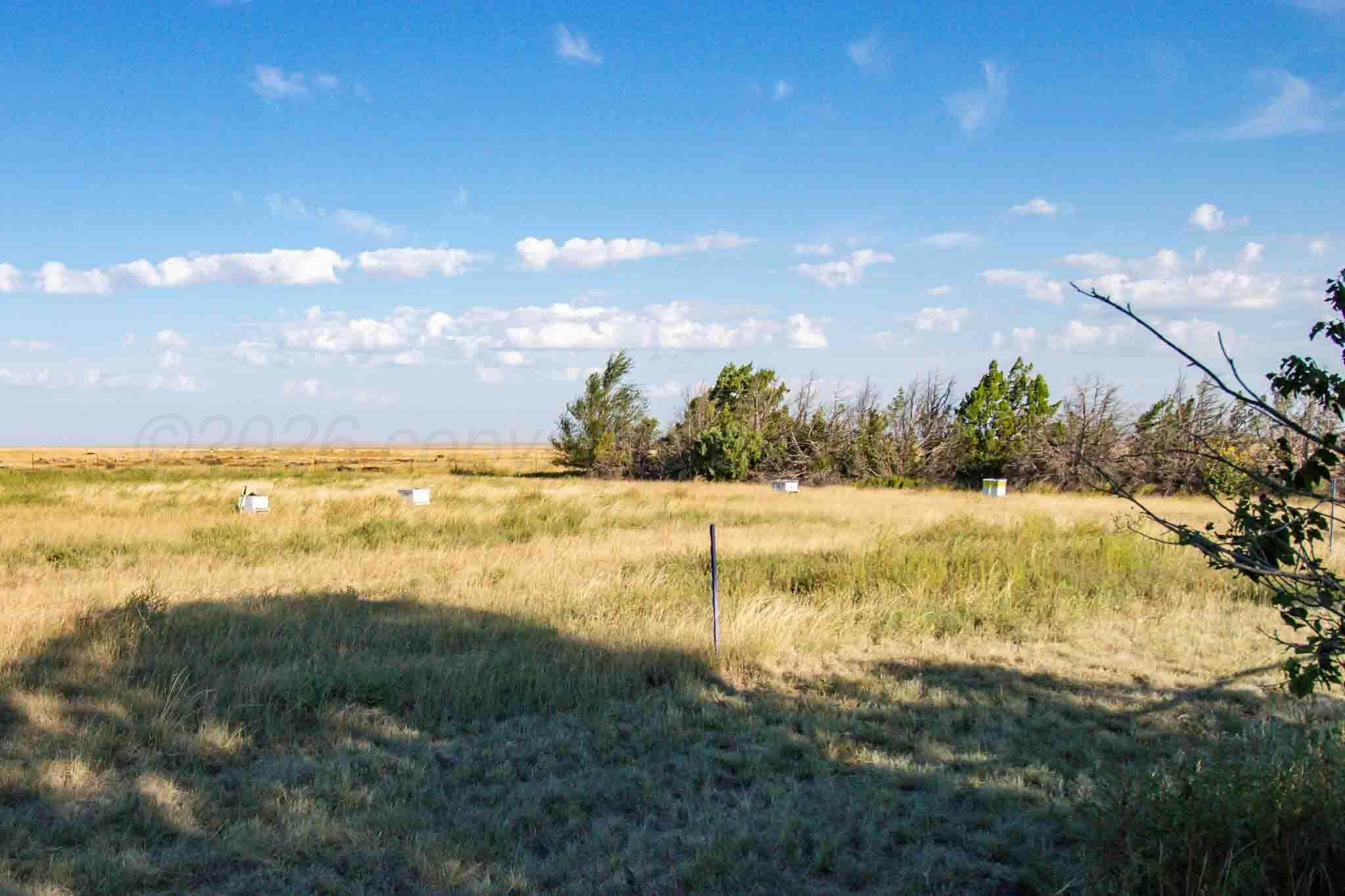 Wise Ranch 3,433.84 Acres, Other - Not in list, NM 88430, photo 25
