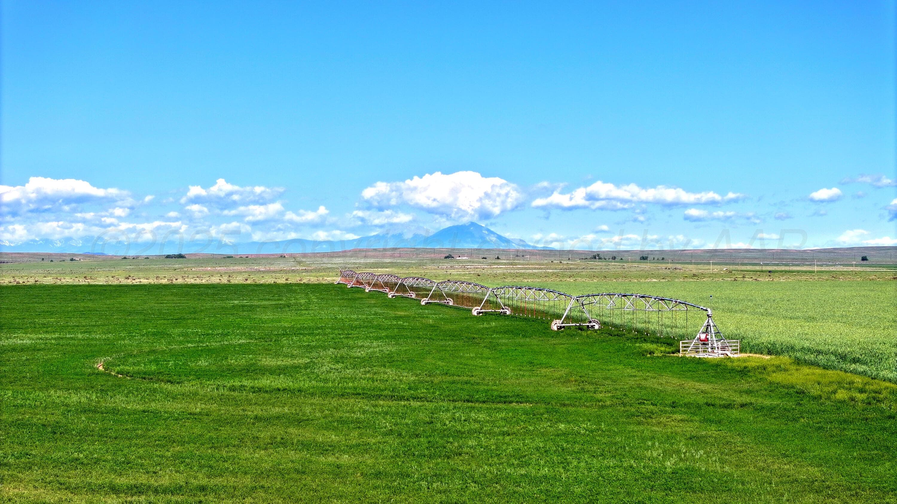 48999 County Road 48, Other - Not in list, CO 81059, photo 13