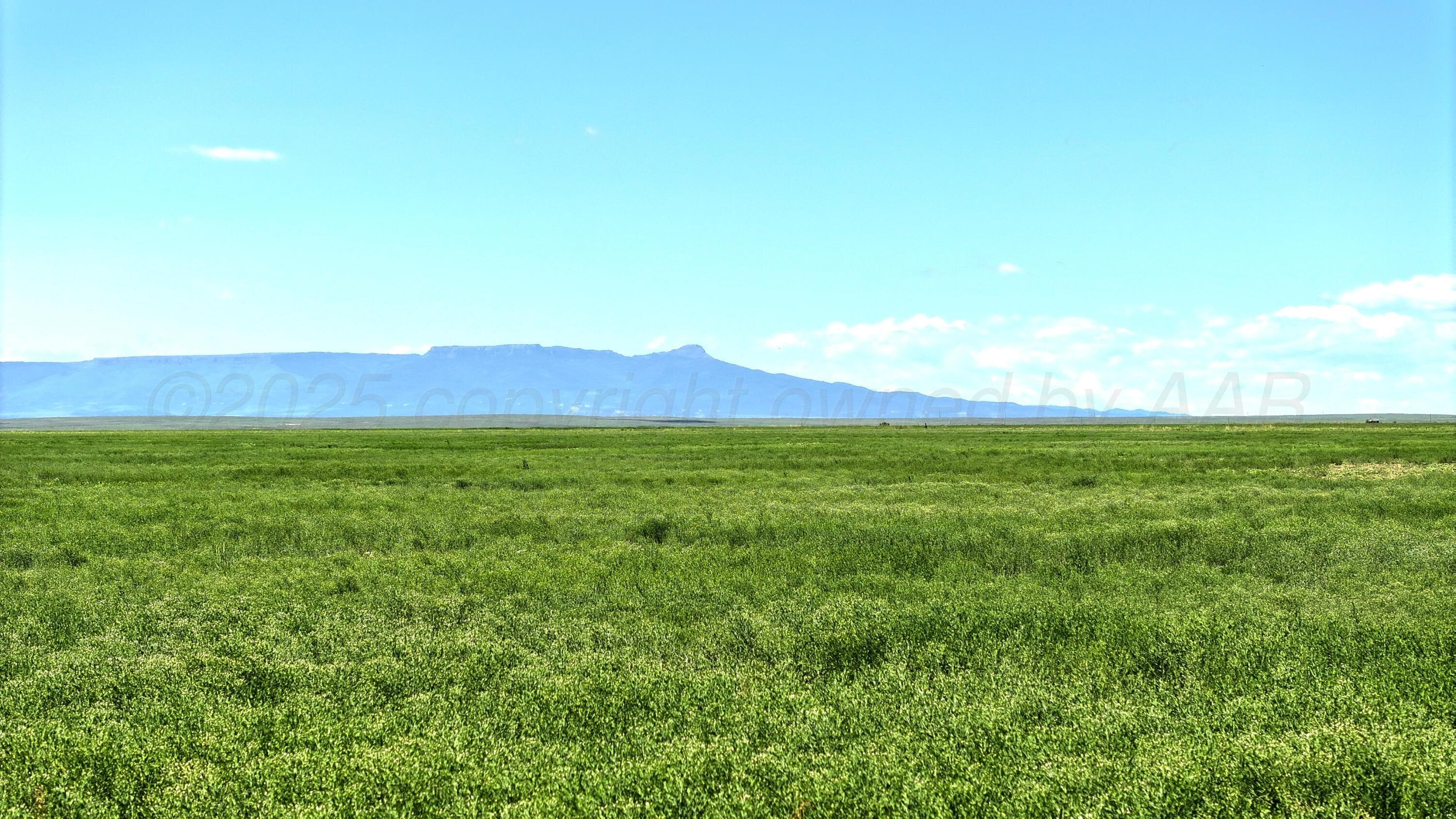 48999 County Road 48, Other - Not in list, CO 81059, photo 24