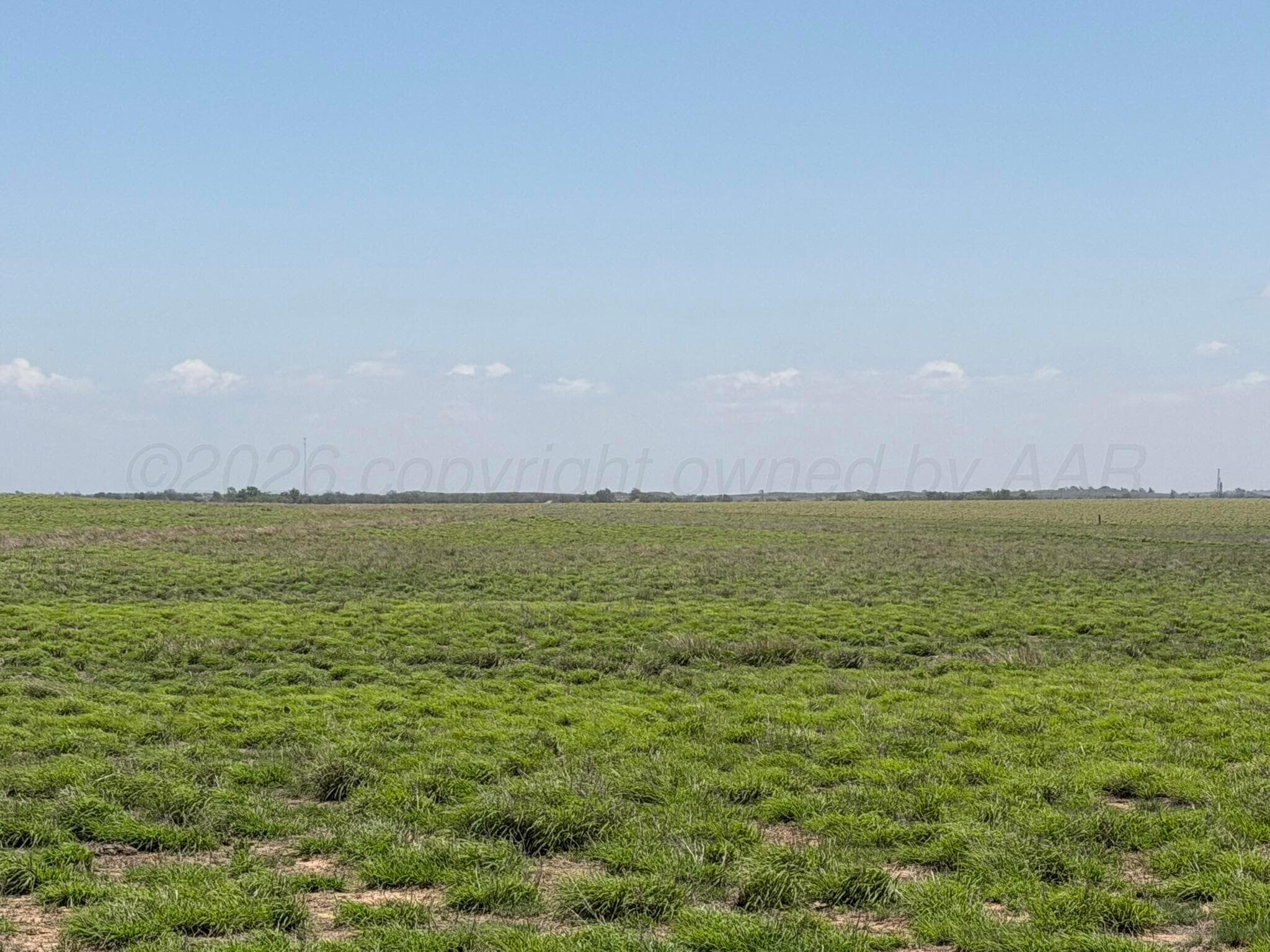 TBD County Road 3, Mobeetie, TX 79061, photo 3