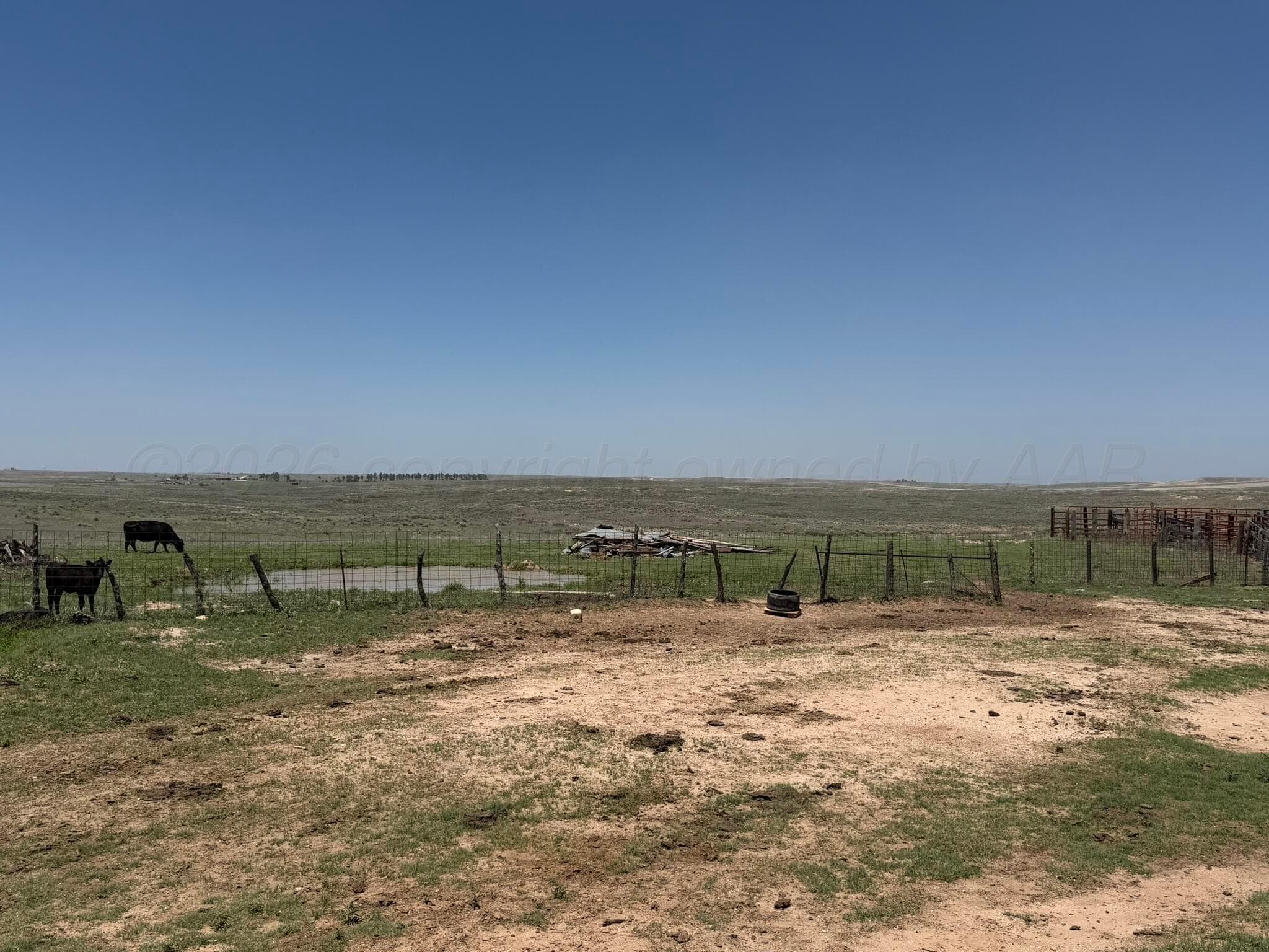 TBD County Road 3, Mobeetie, TX 79061, photo 11