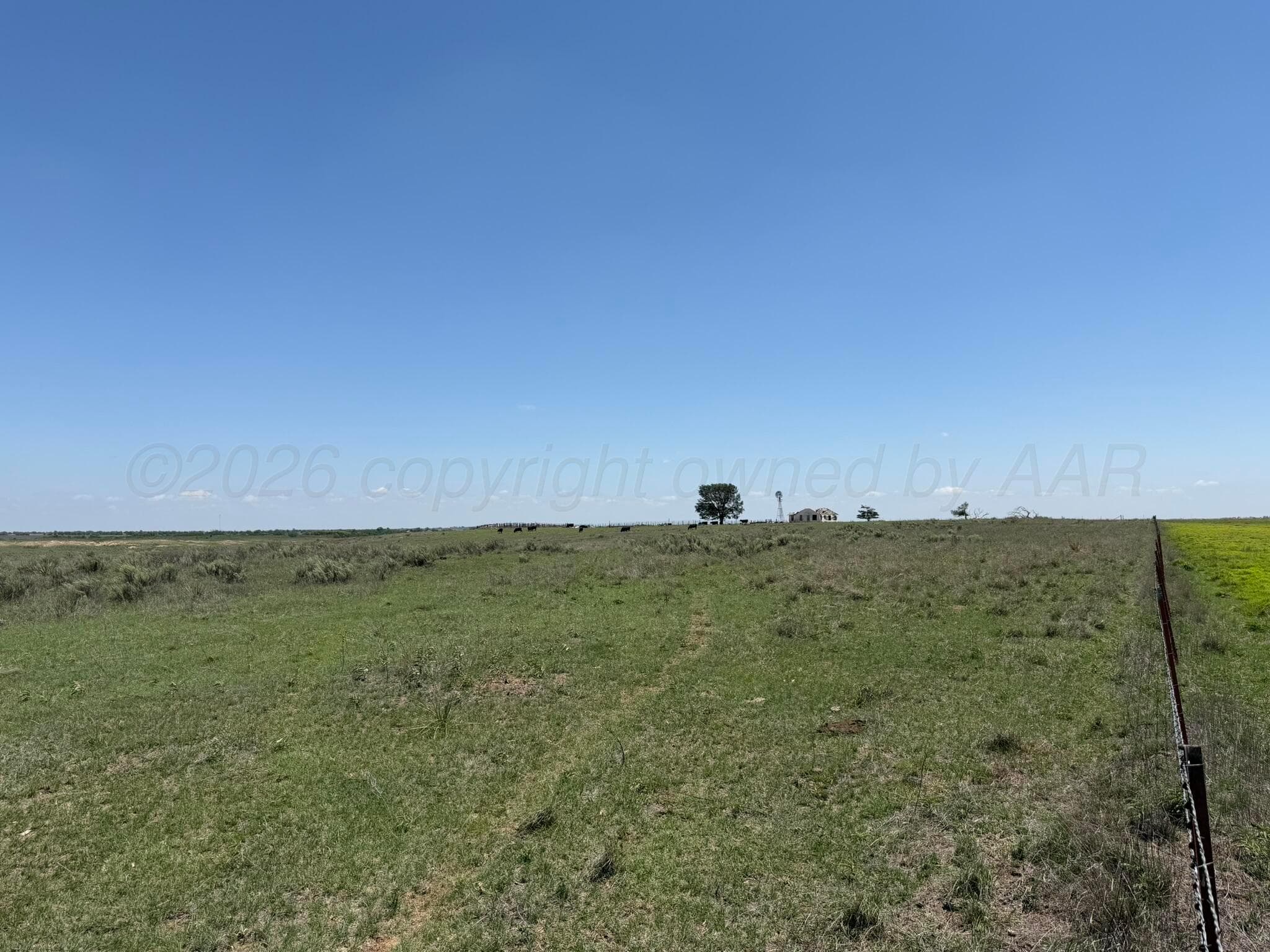 TBD County Road 3, Mobeetie, TX 79061, photo 20