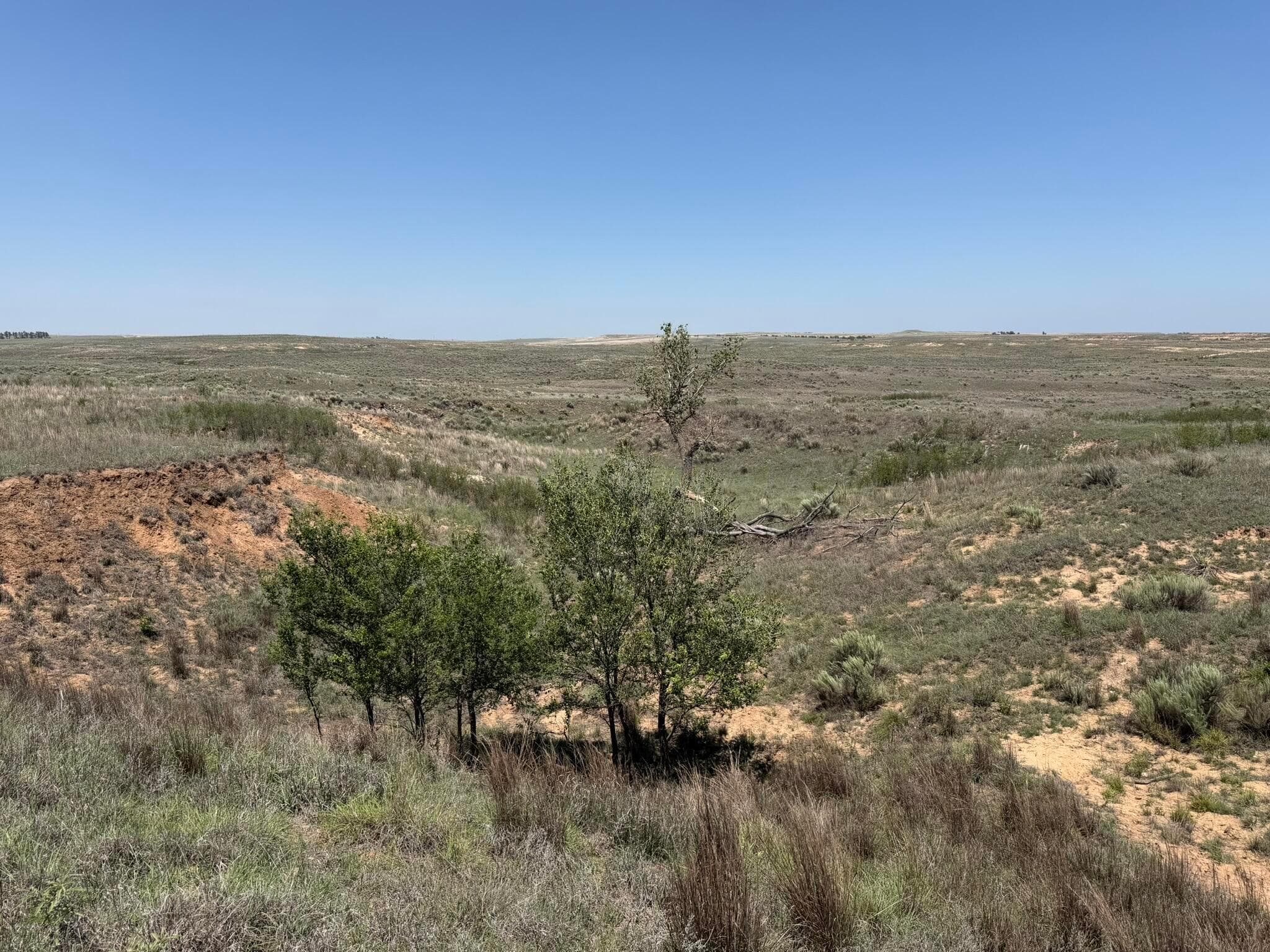TBD County Road 3, Mobeetie, TX 79061, photo 24