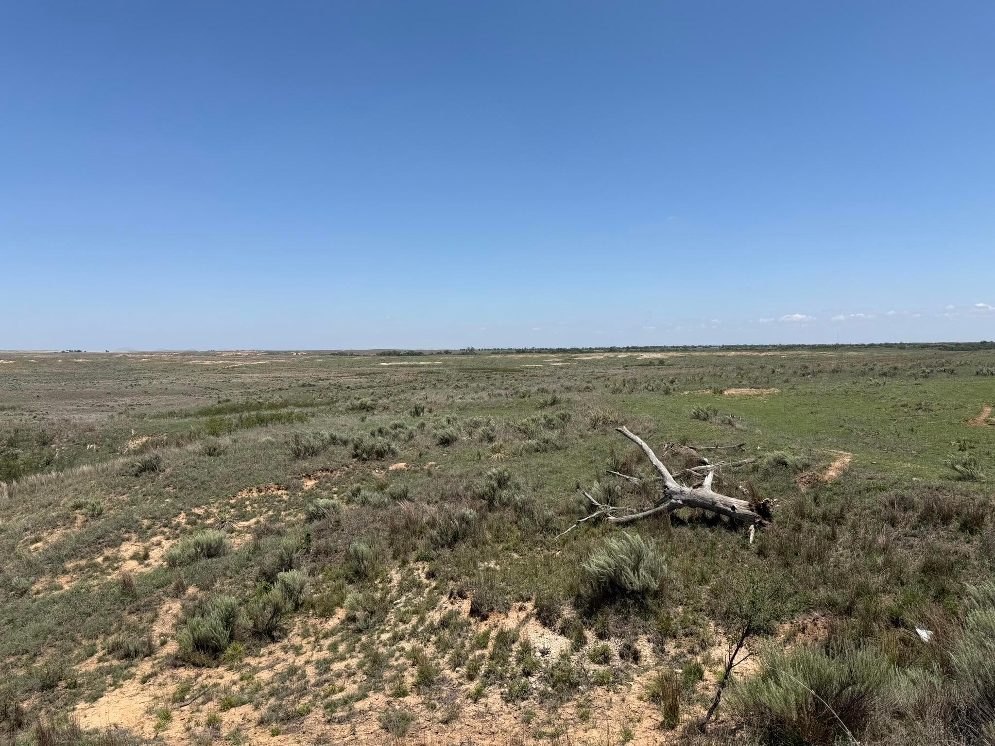 TBD County Road 3, Mobeetie, TX 79061, photo 25