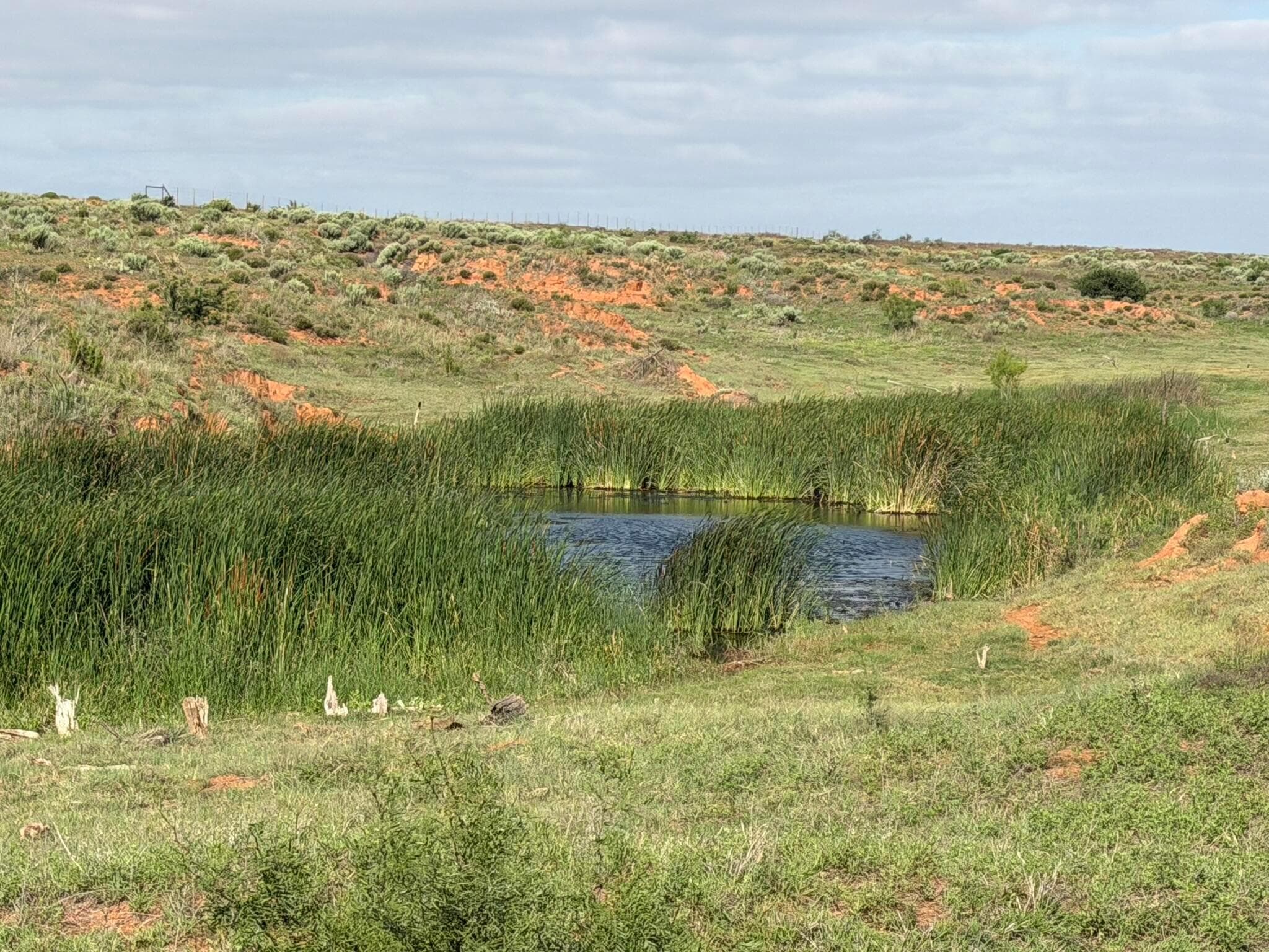15450 Farm To Market Road 2103, Childress, TX 79201