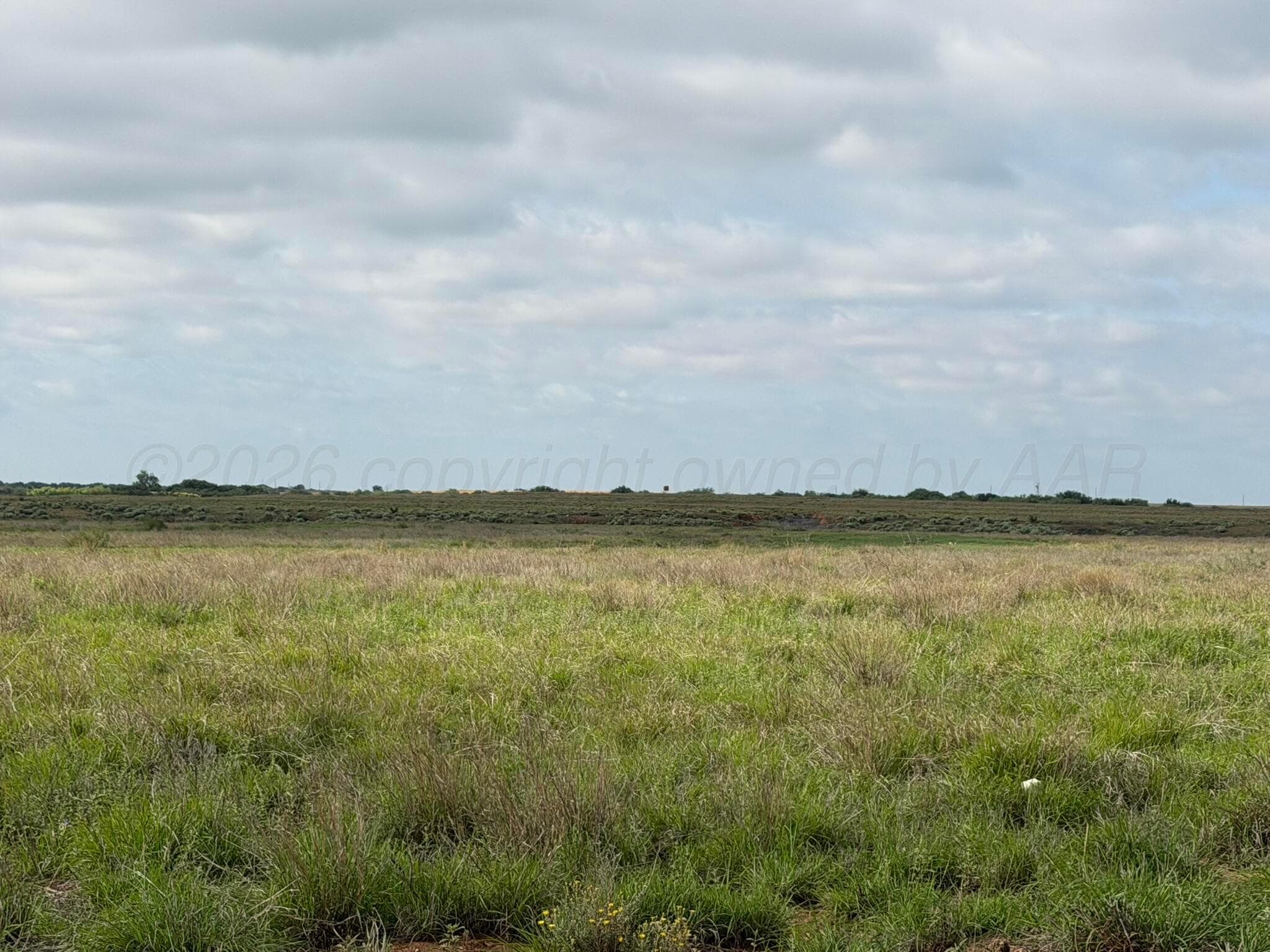 15450 Farm To Market Road 2103, Childress, TX 79201, photo 6
