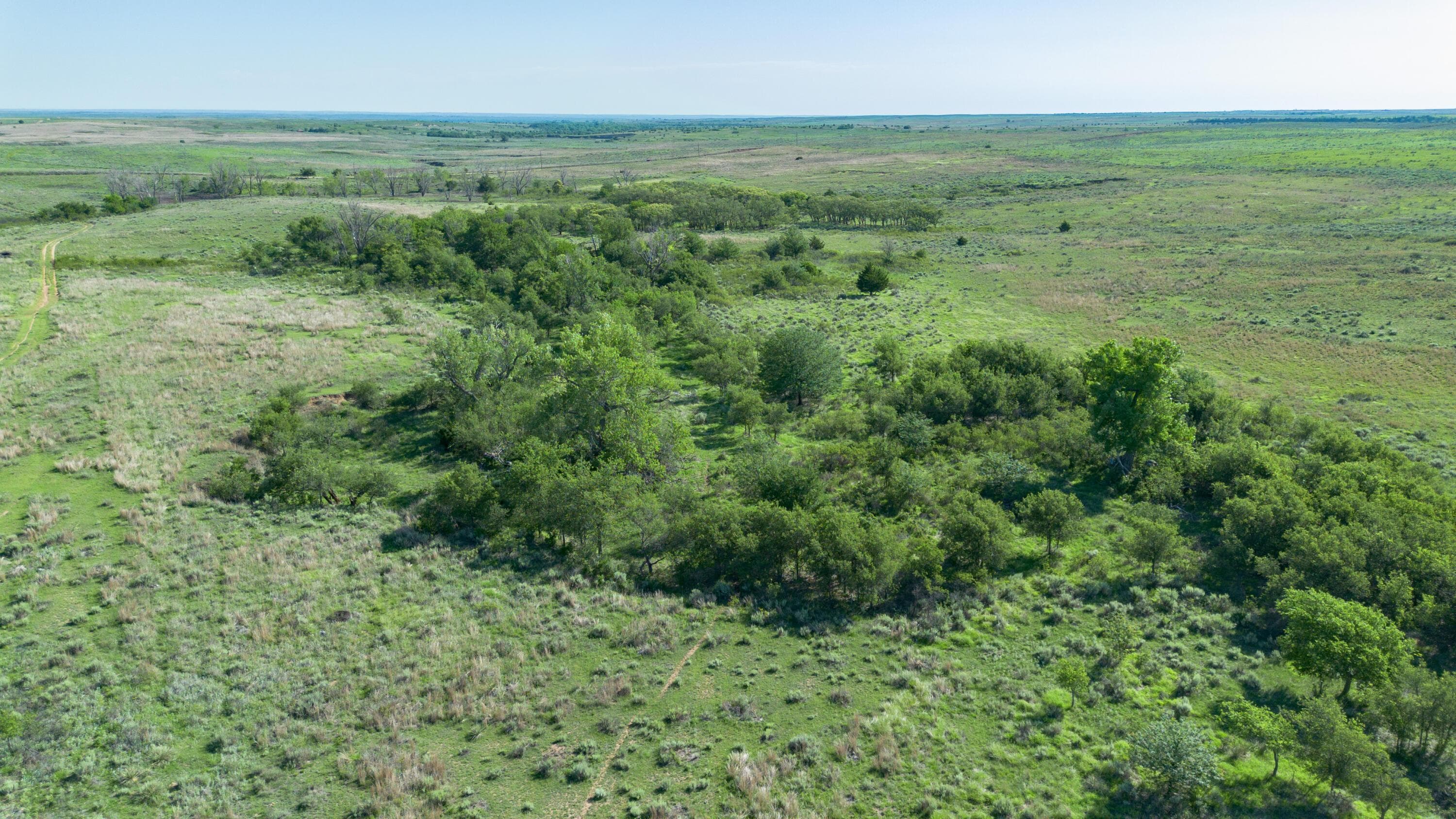 Peterson Creek ±640ac, McLean, TX 79057, photo 28