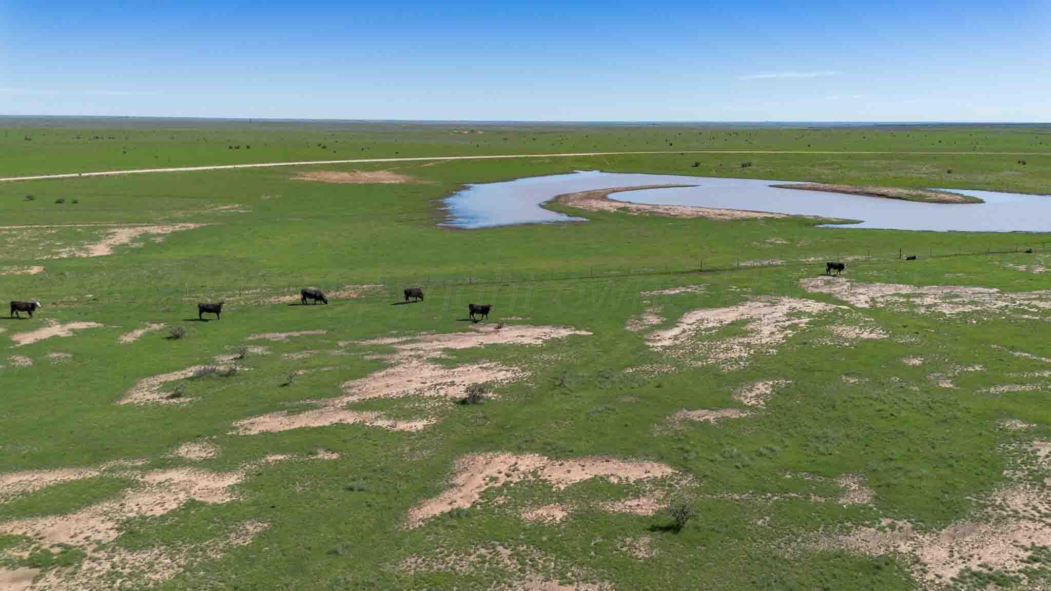 Wise Ranch ±2,345.59 Acres, Other - Not in list, NM 88430, photo 17