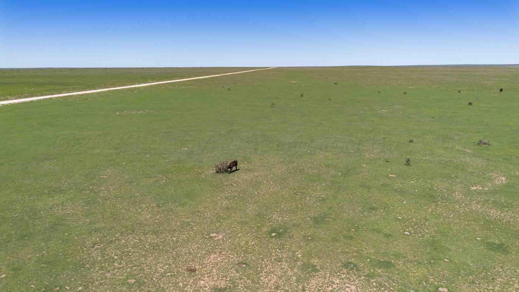 Wise Ranch ±2,345.59 Acres, Other - Not in list, NM 88430, photo 37
