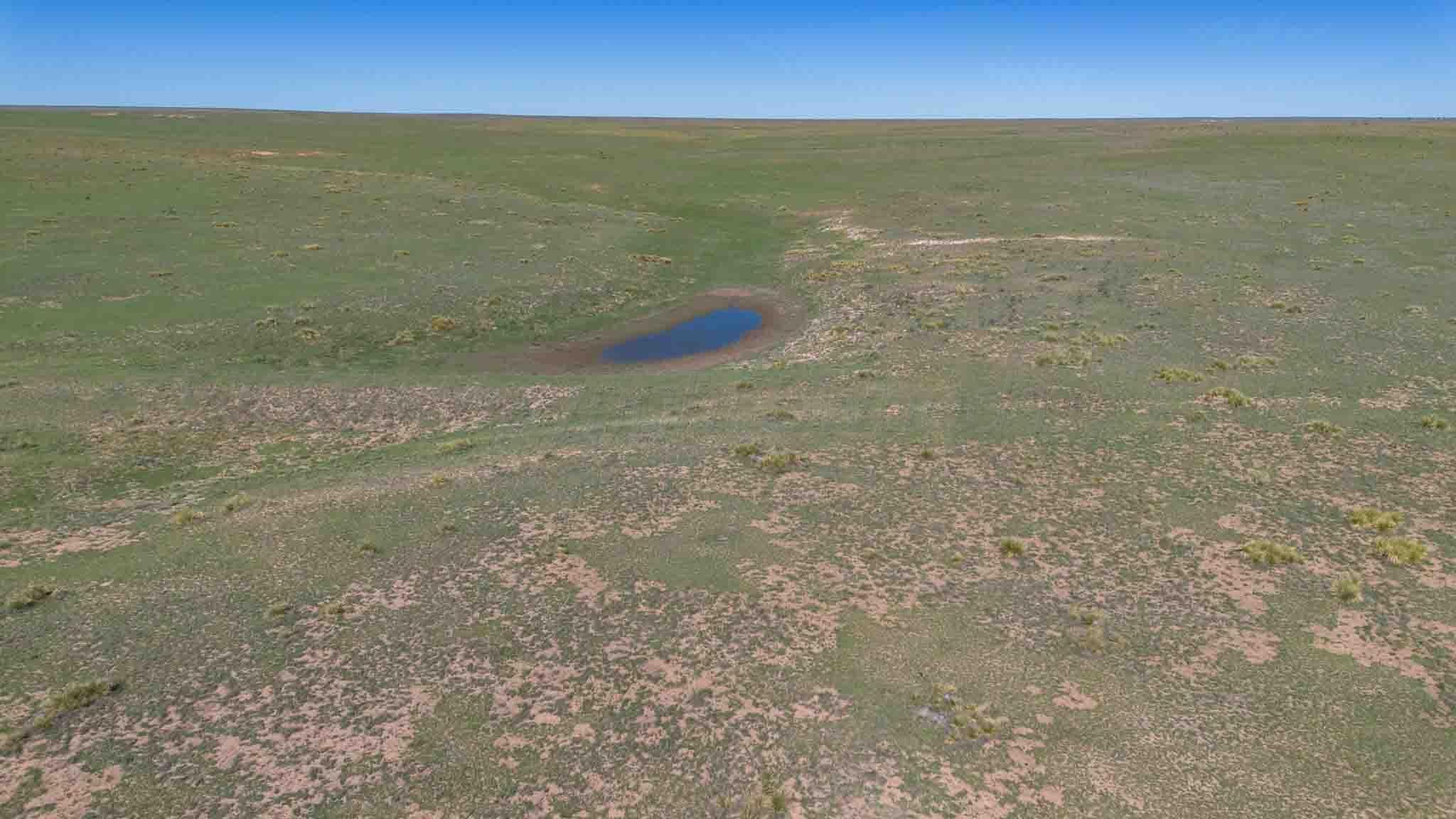Wise Ranch 3,433.84 Acres, Other - Not in list, NM 88430, photo 8